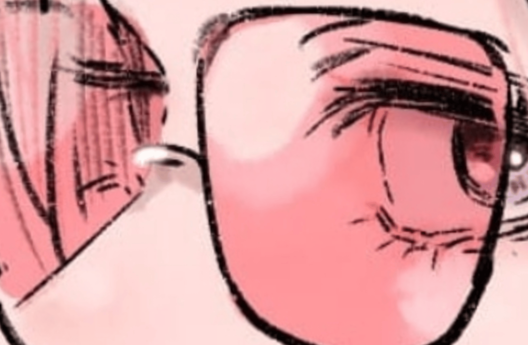 Shin Iryuu