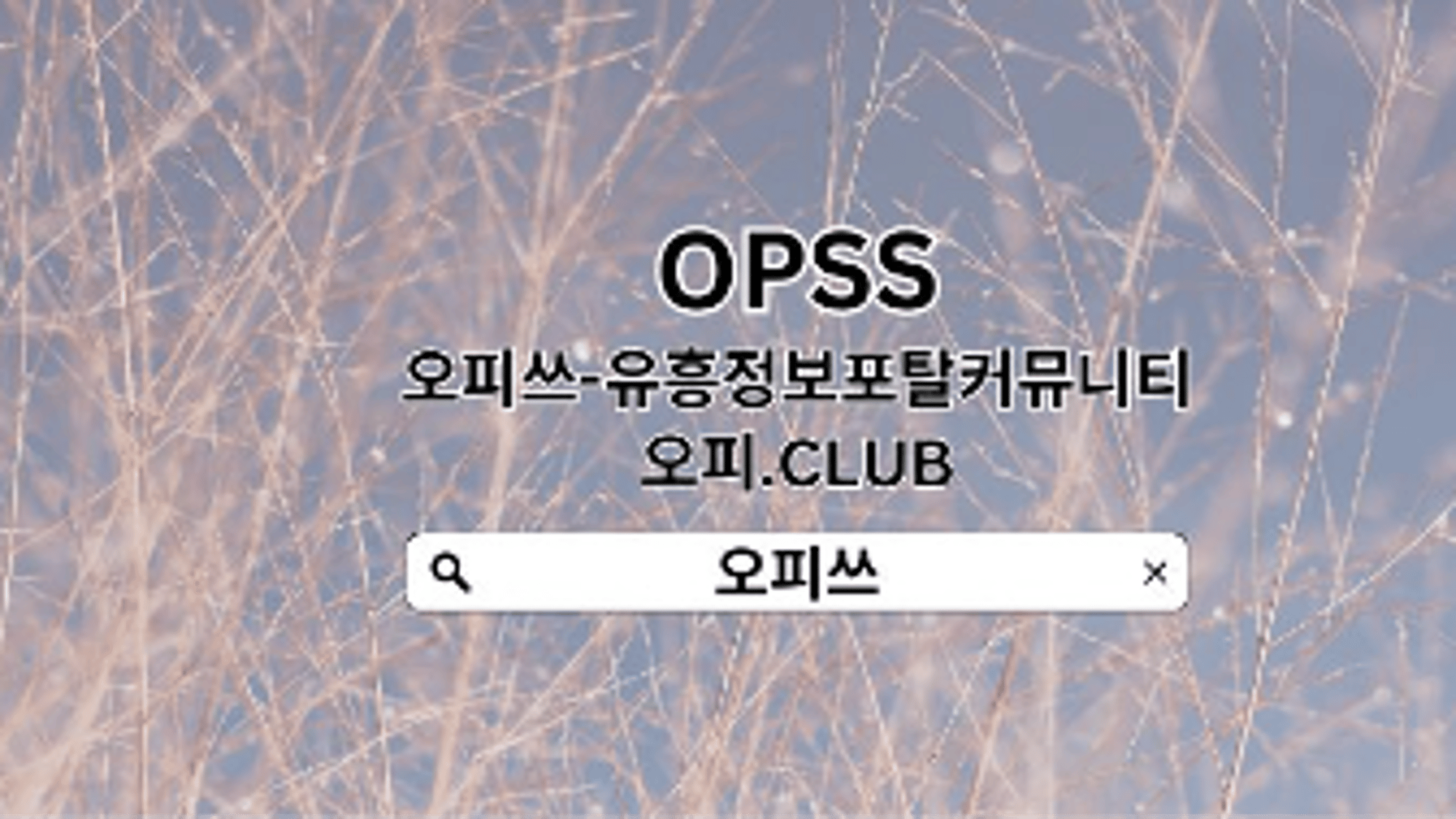 pohangop