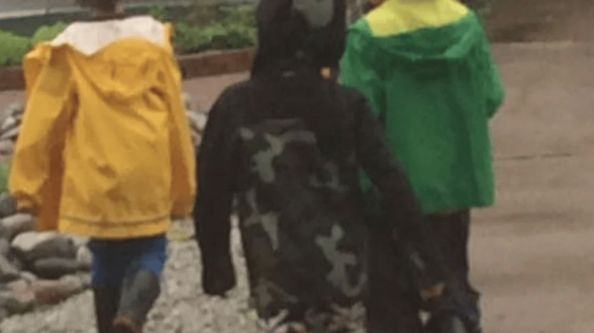 Boy