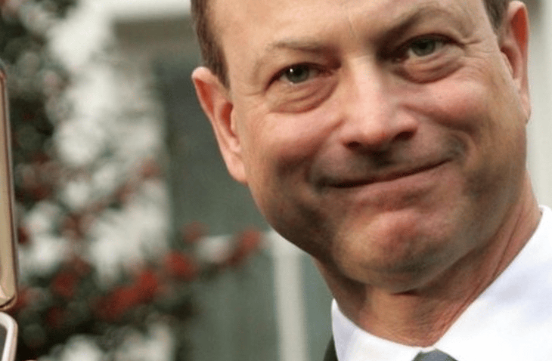 Gary sinise