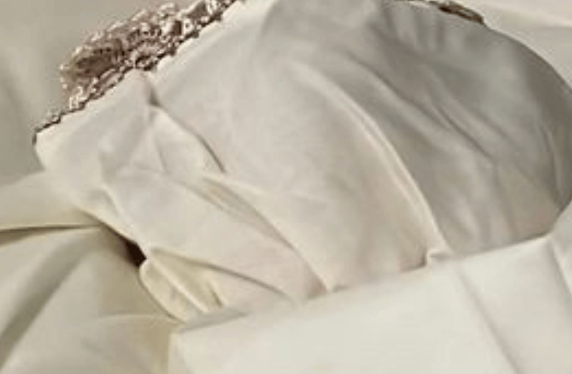 The King of China's Maid