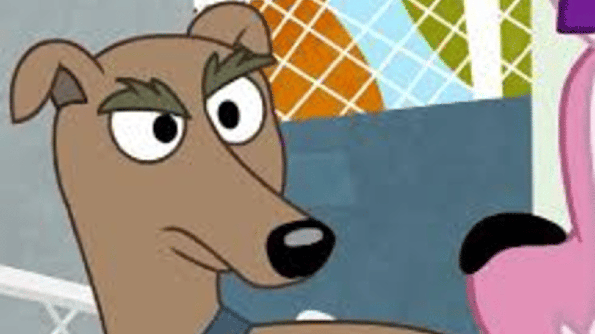 Dash Whippet