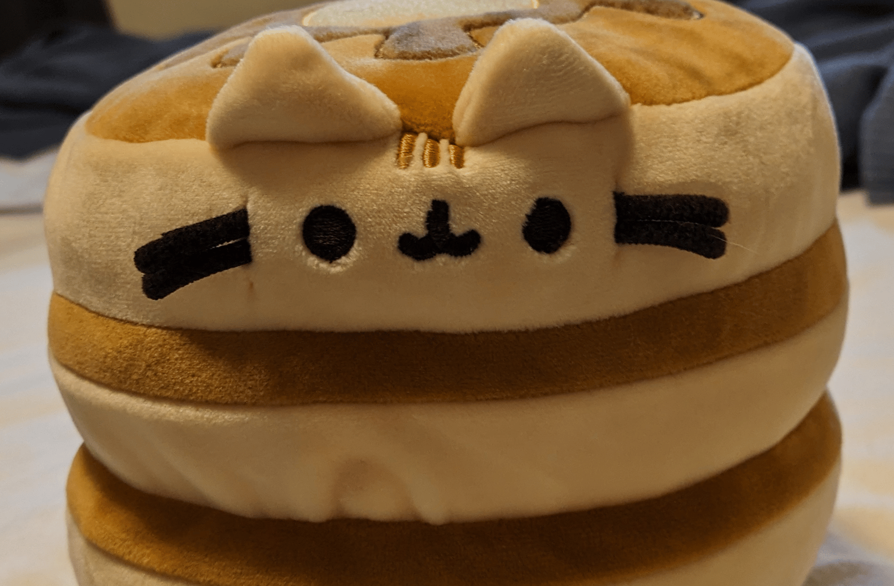 Pancake cat