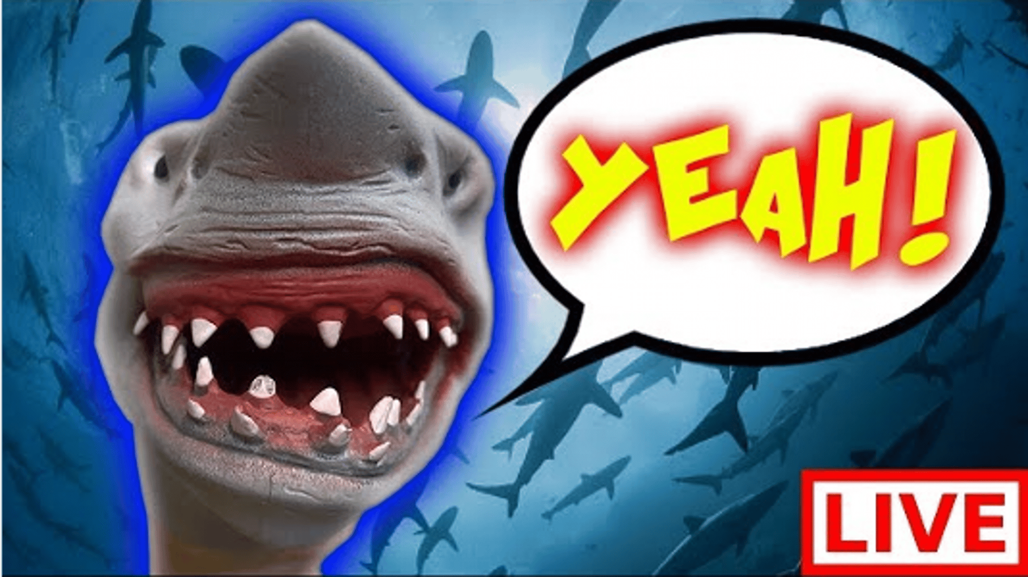 Shark puppet