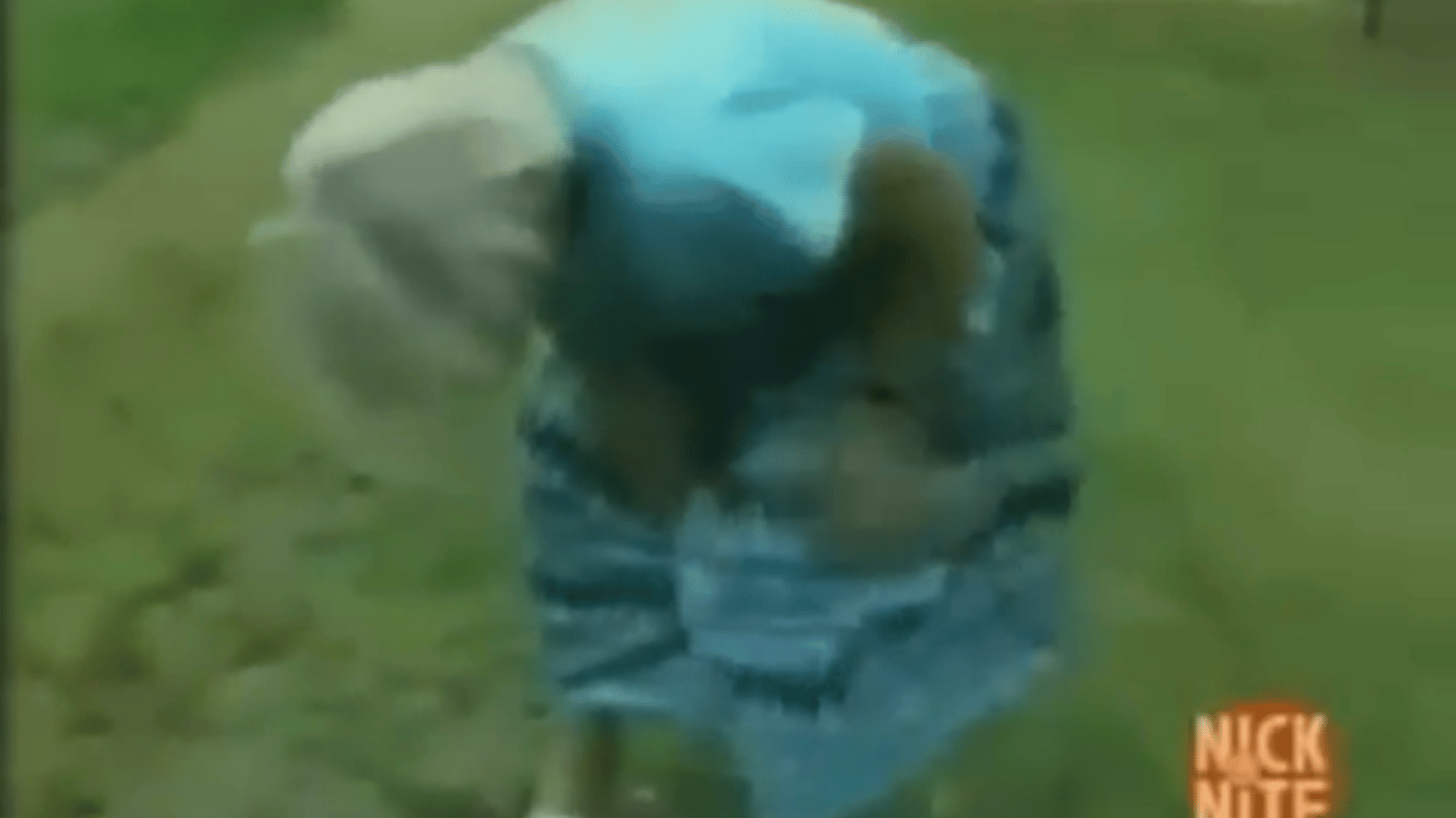 Boy