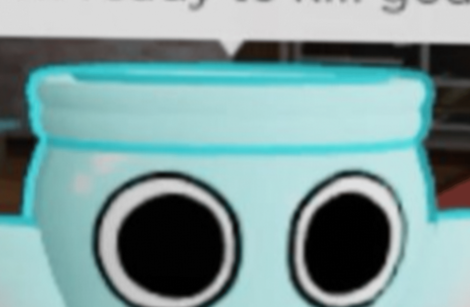 Finn