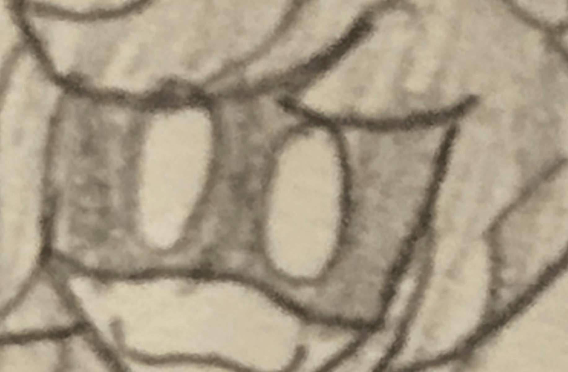 N (horney)