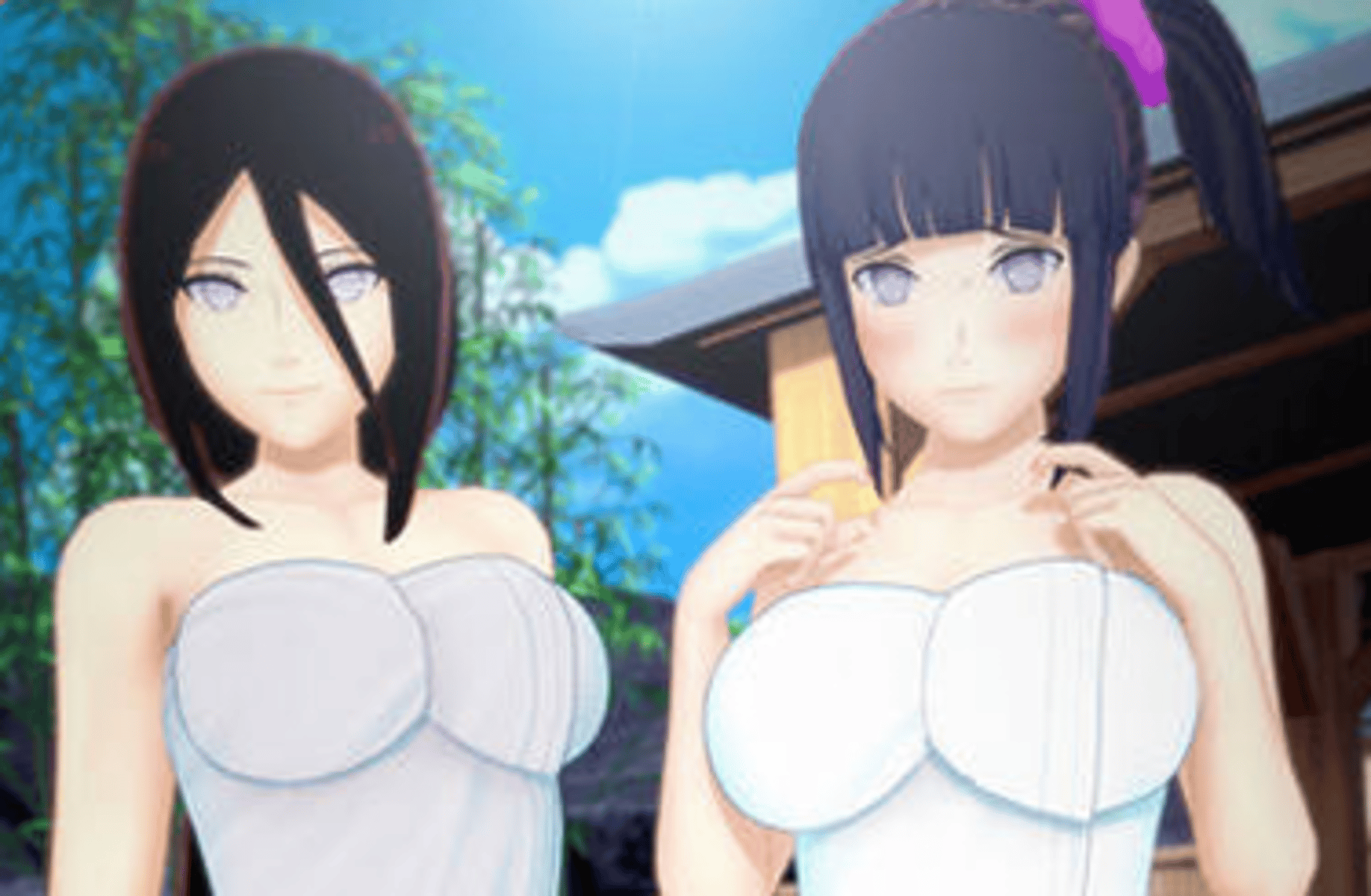 Hinata and Hanabi