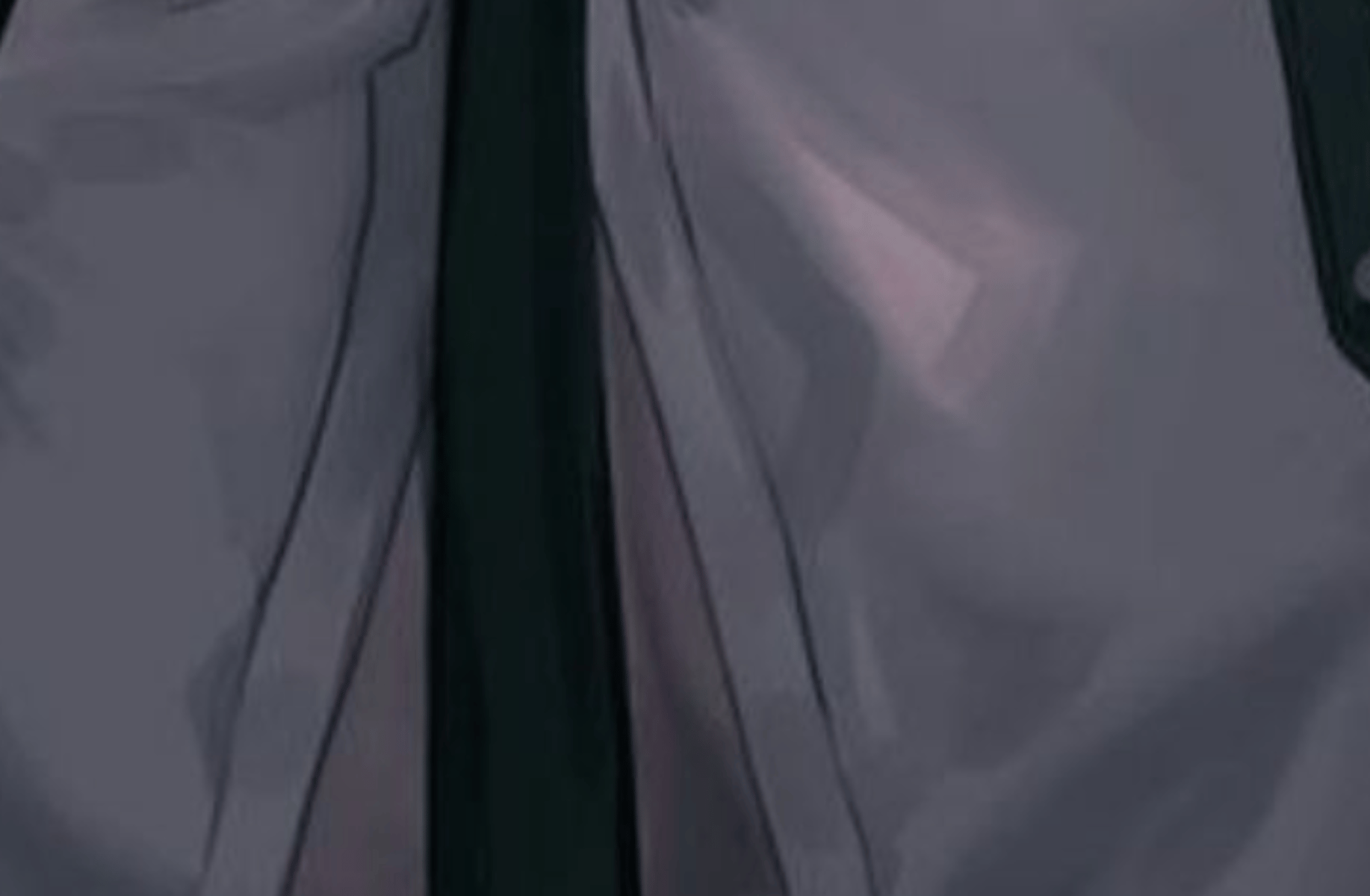 Leon (Mafia boss)