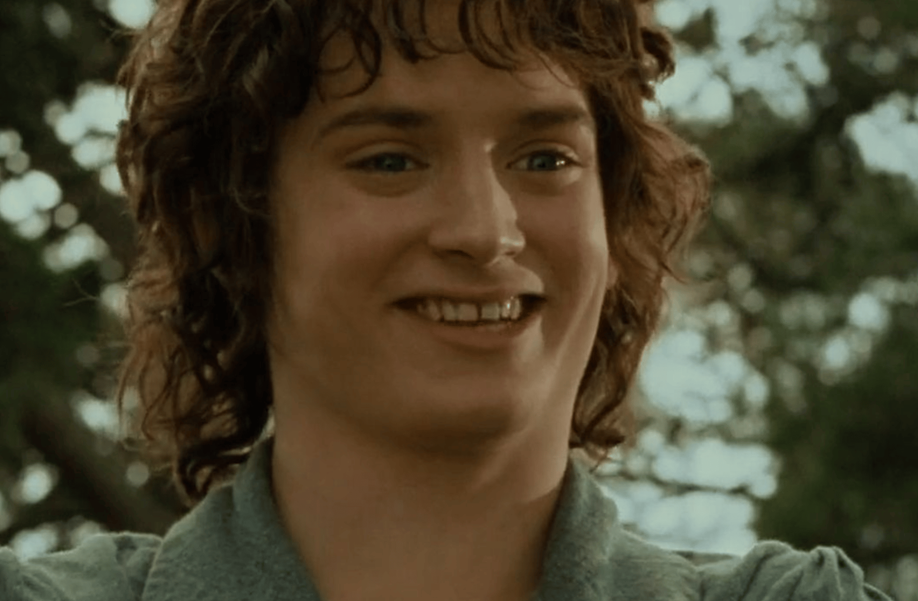 Frodo baggins