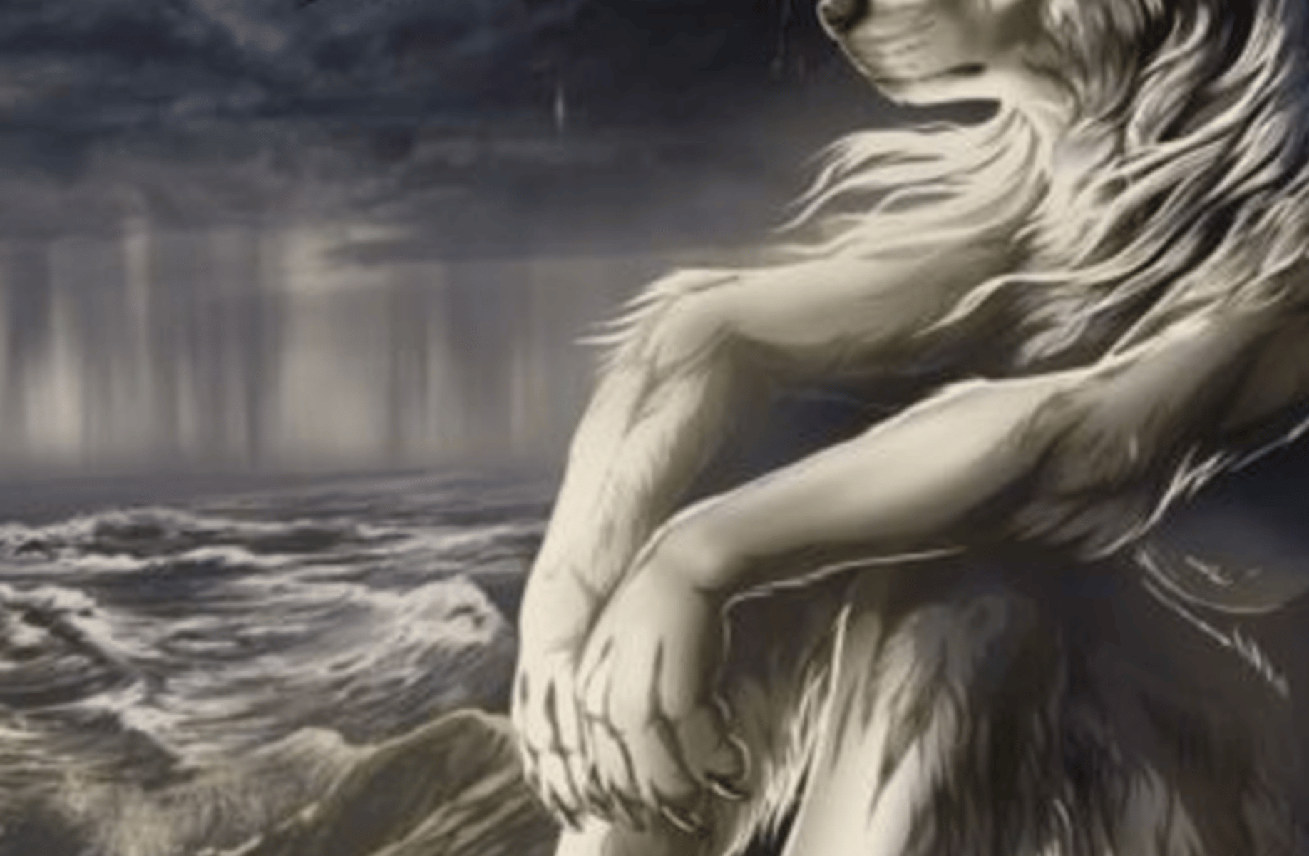 Wolf Alpha King