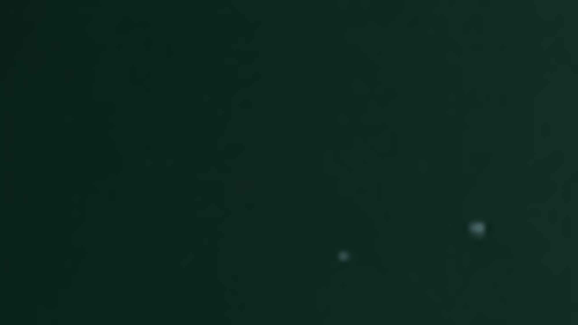 Lyra Swiftblade