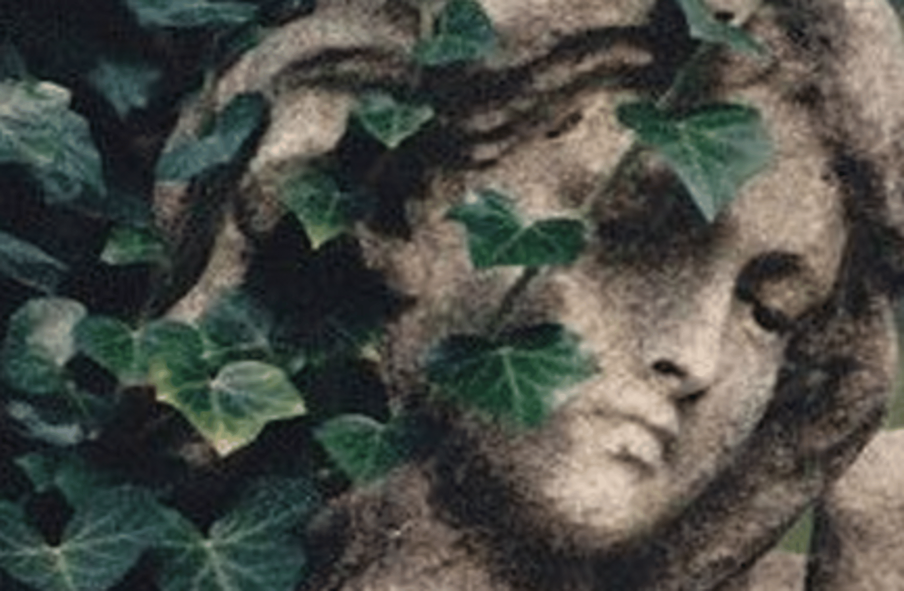 Ivy (Genshin Impact)
