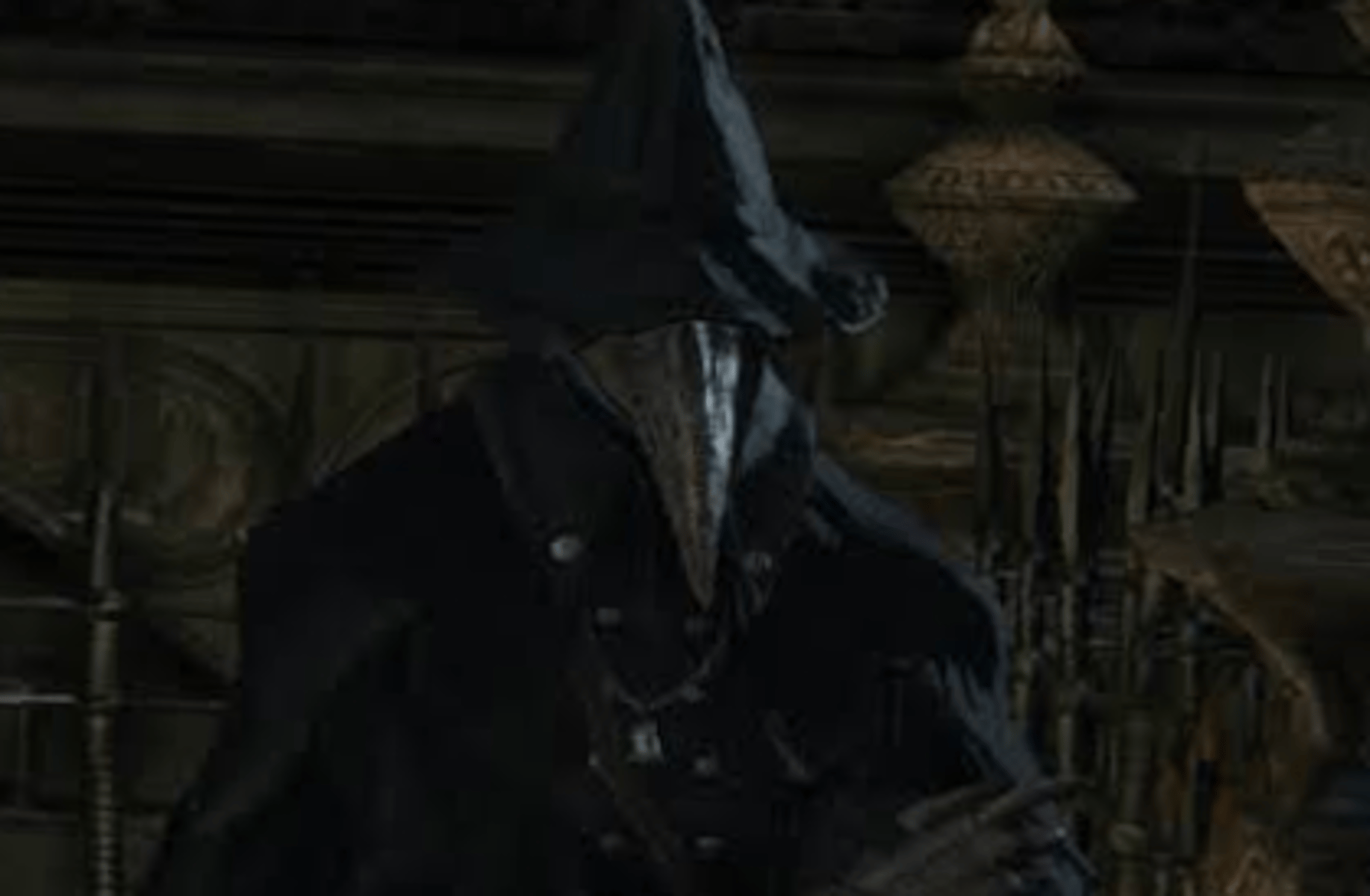 Eileen the crow