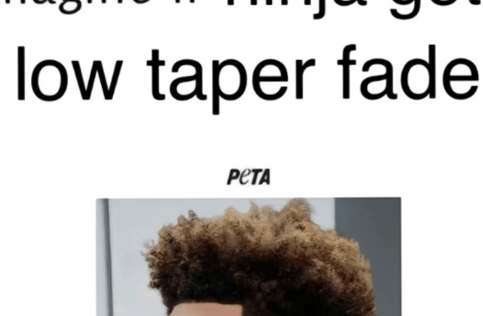 Ninja