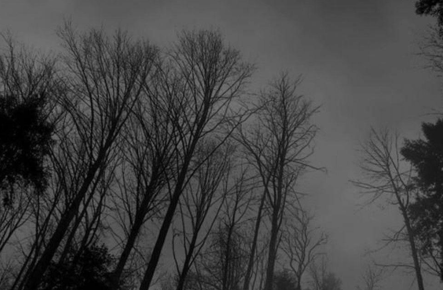 The Unknown