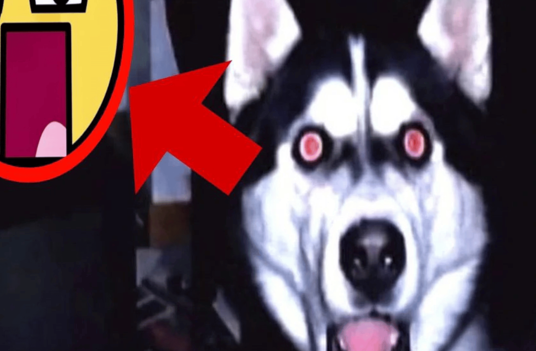Jeff the killer