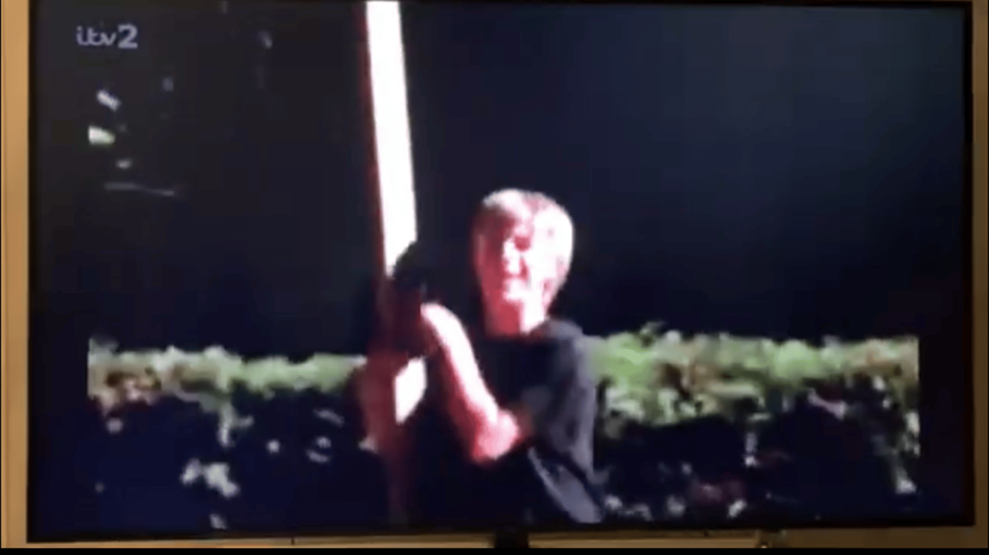 Boy