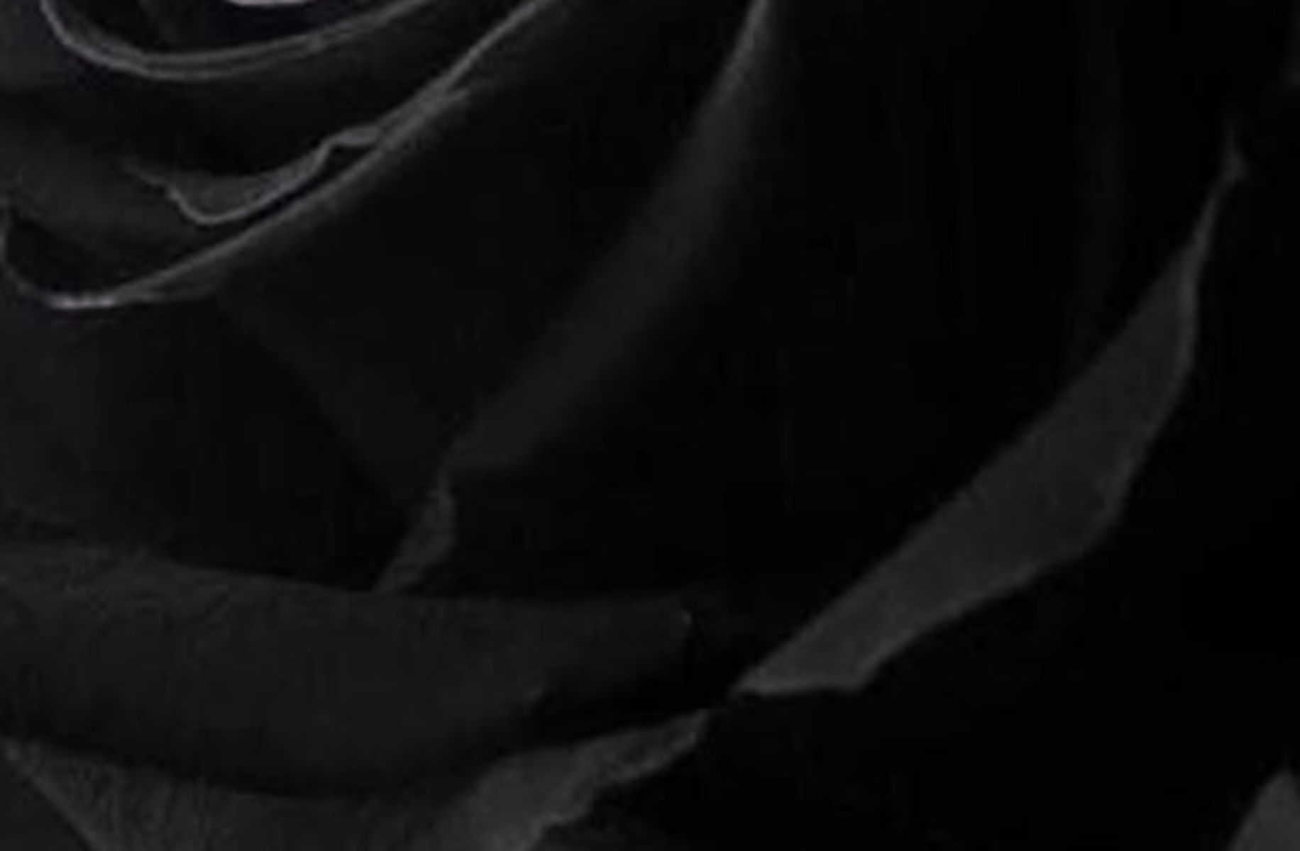 Ichikawa (your roommate)