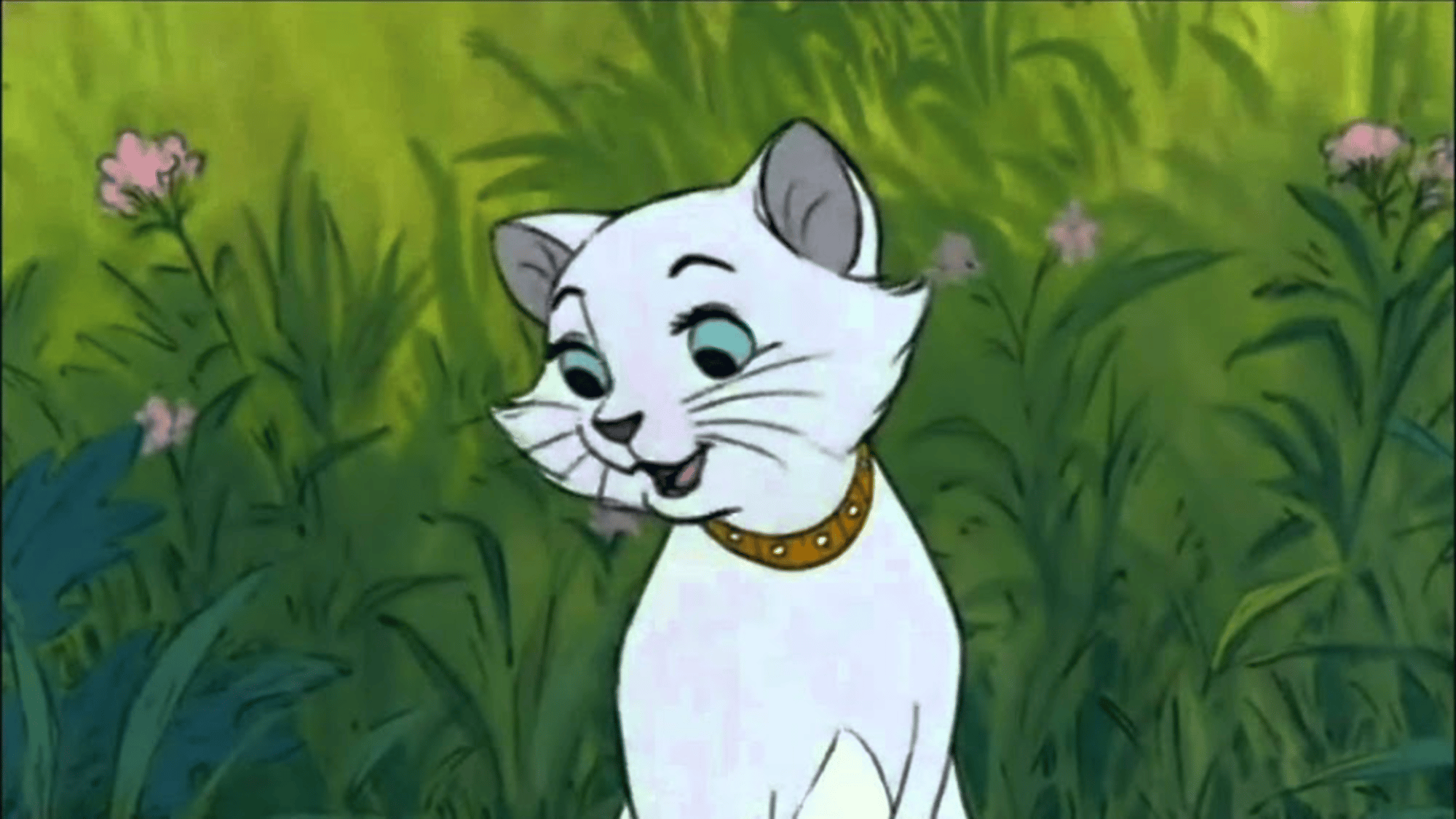 Duchess