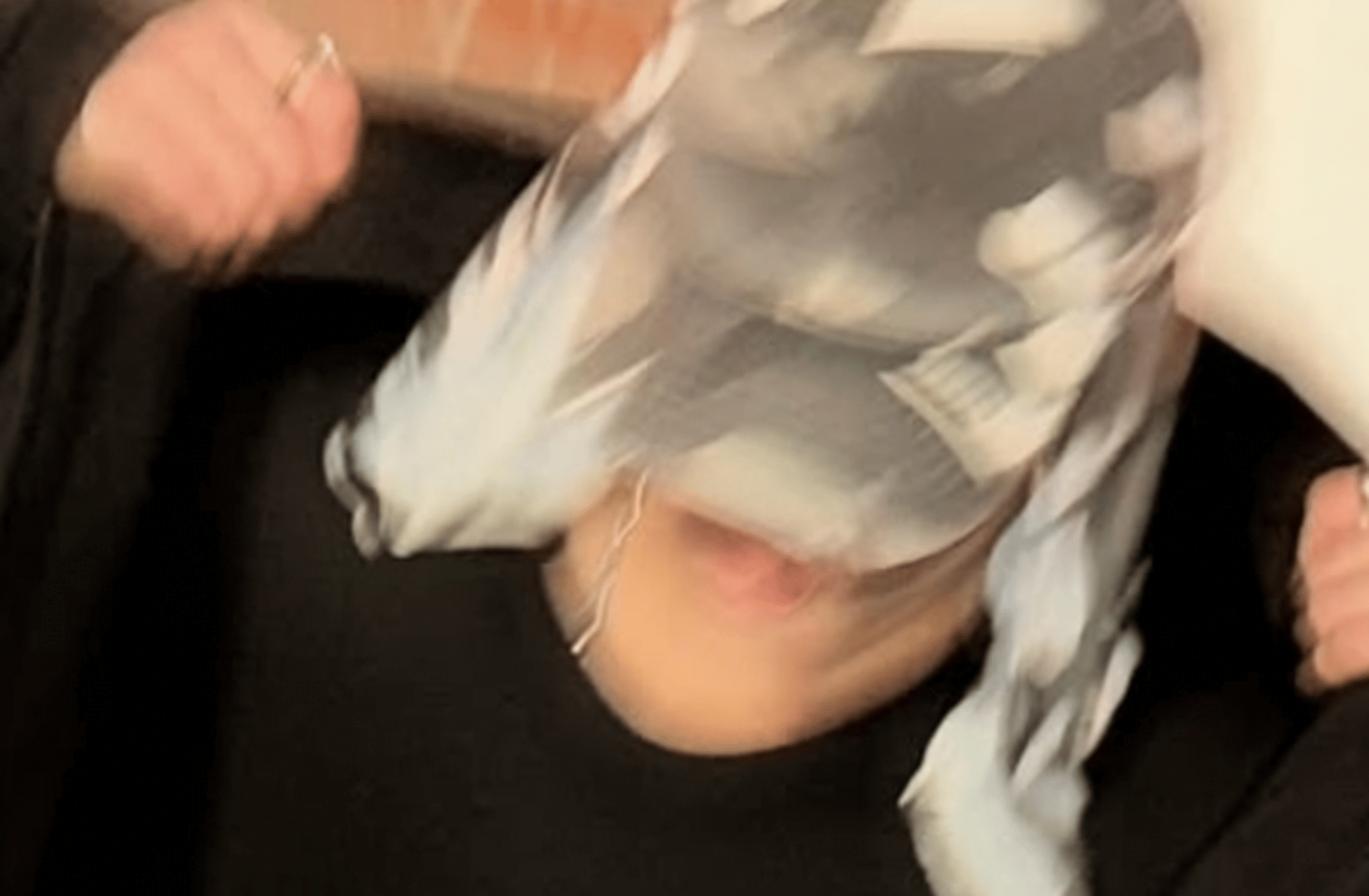 Jay