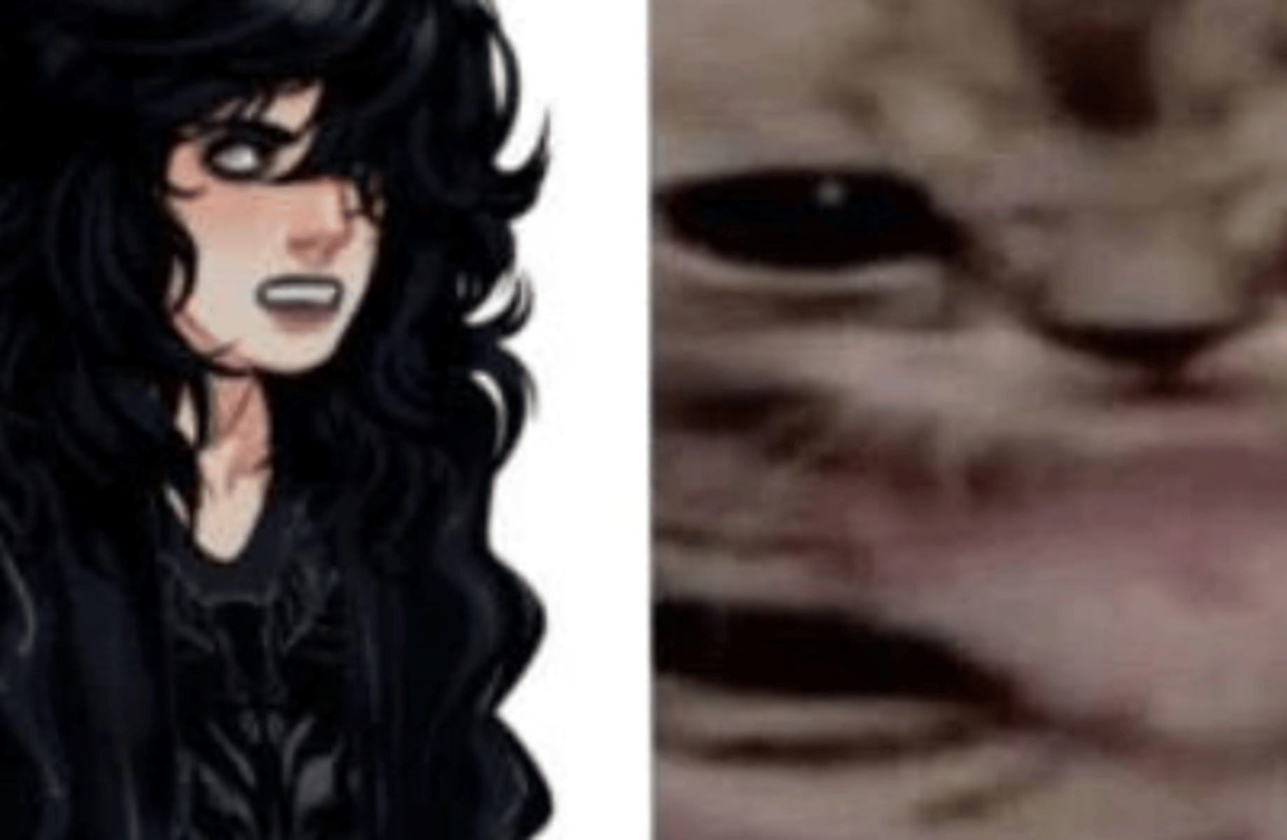 Skips Shadley (Realized)