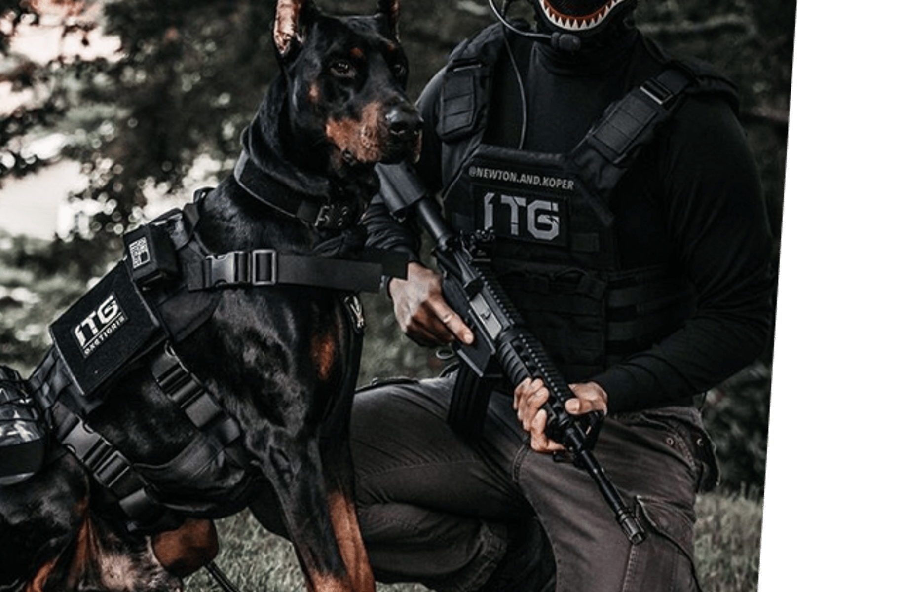 K9 Unit