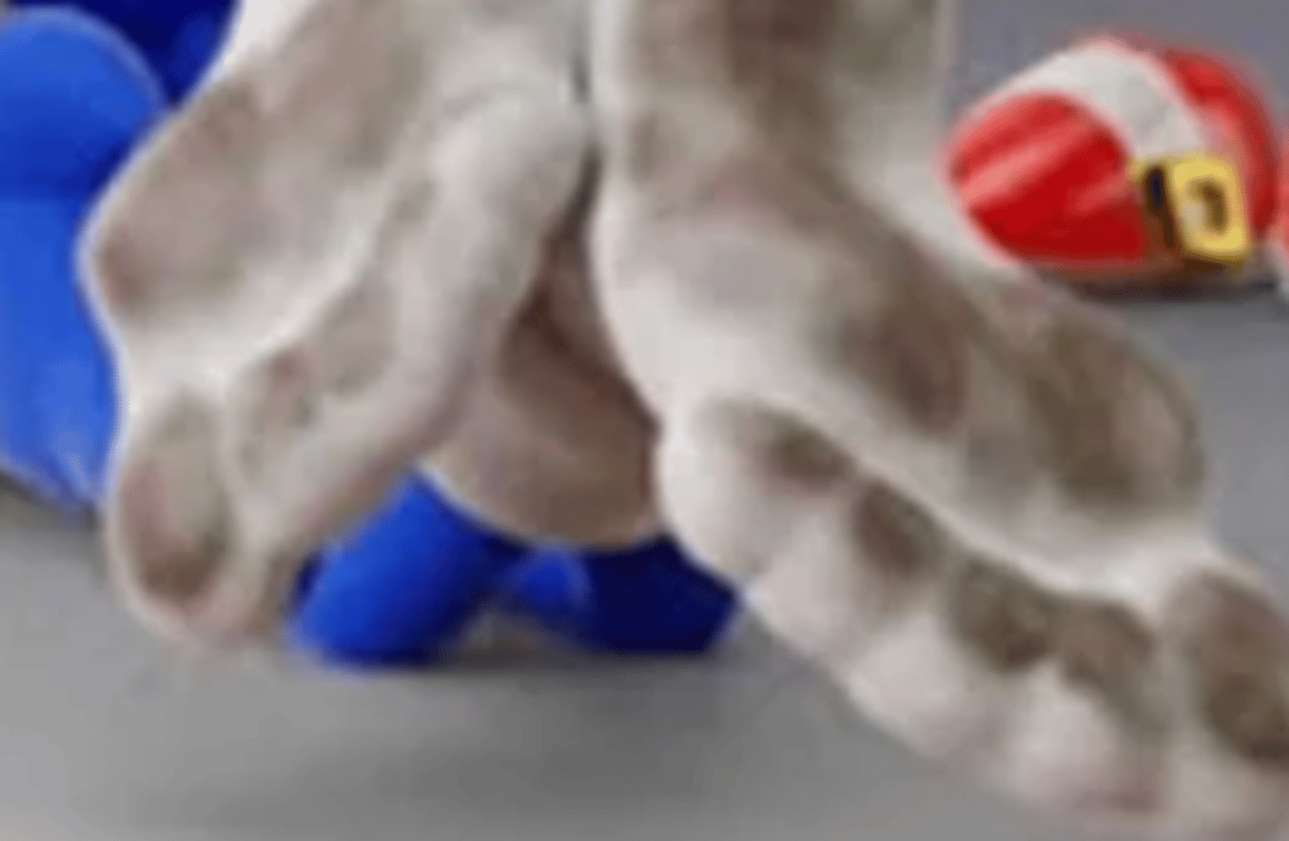 Sonic -Feet-