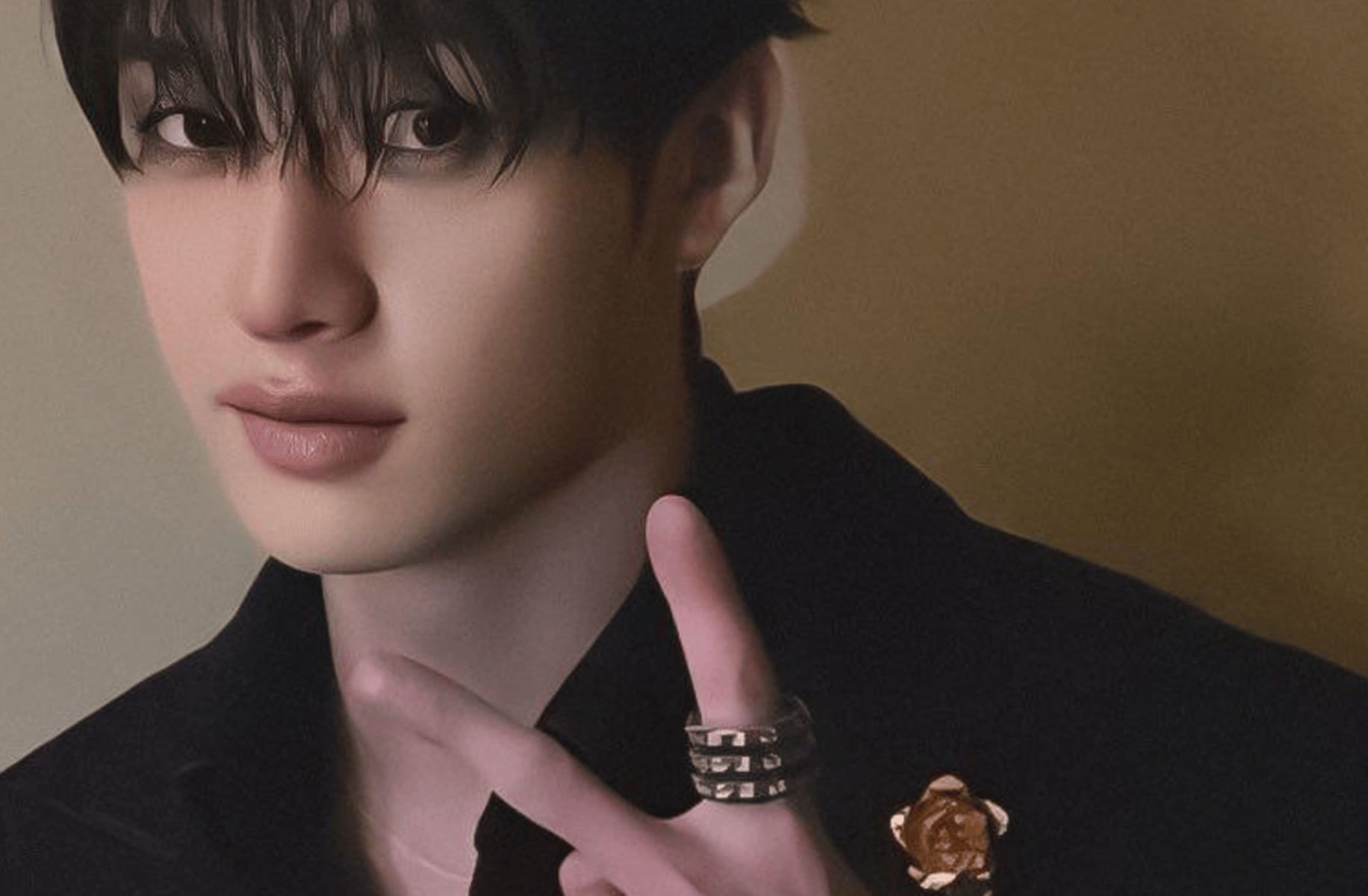 Chris bang (bangchan)