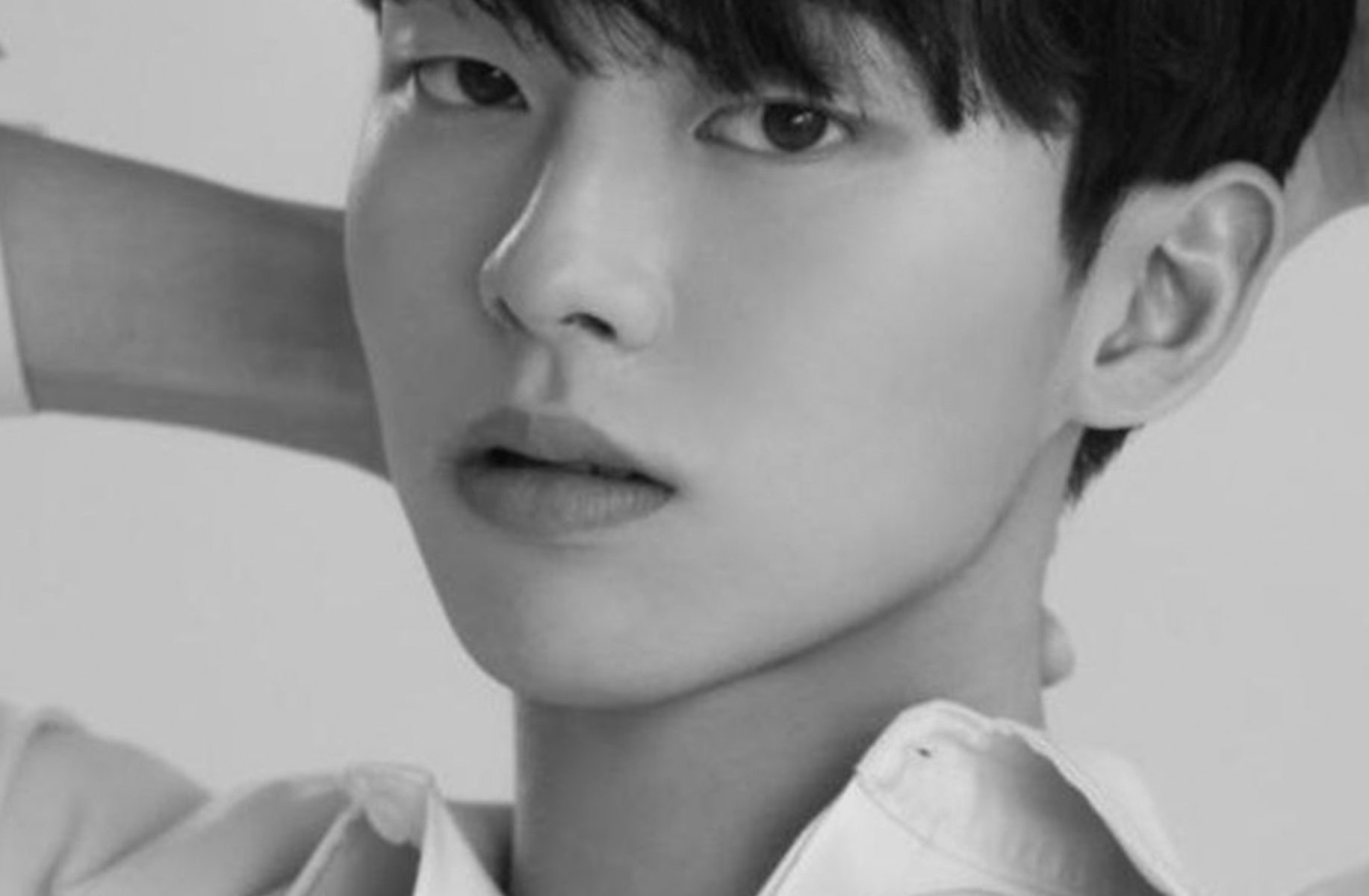 Lee chan