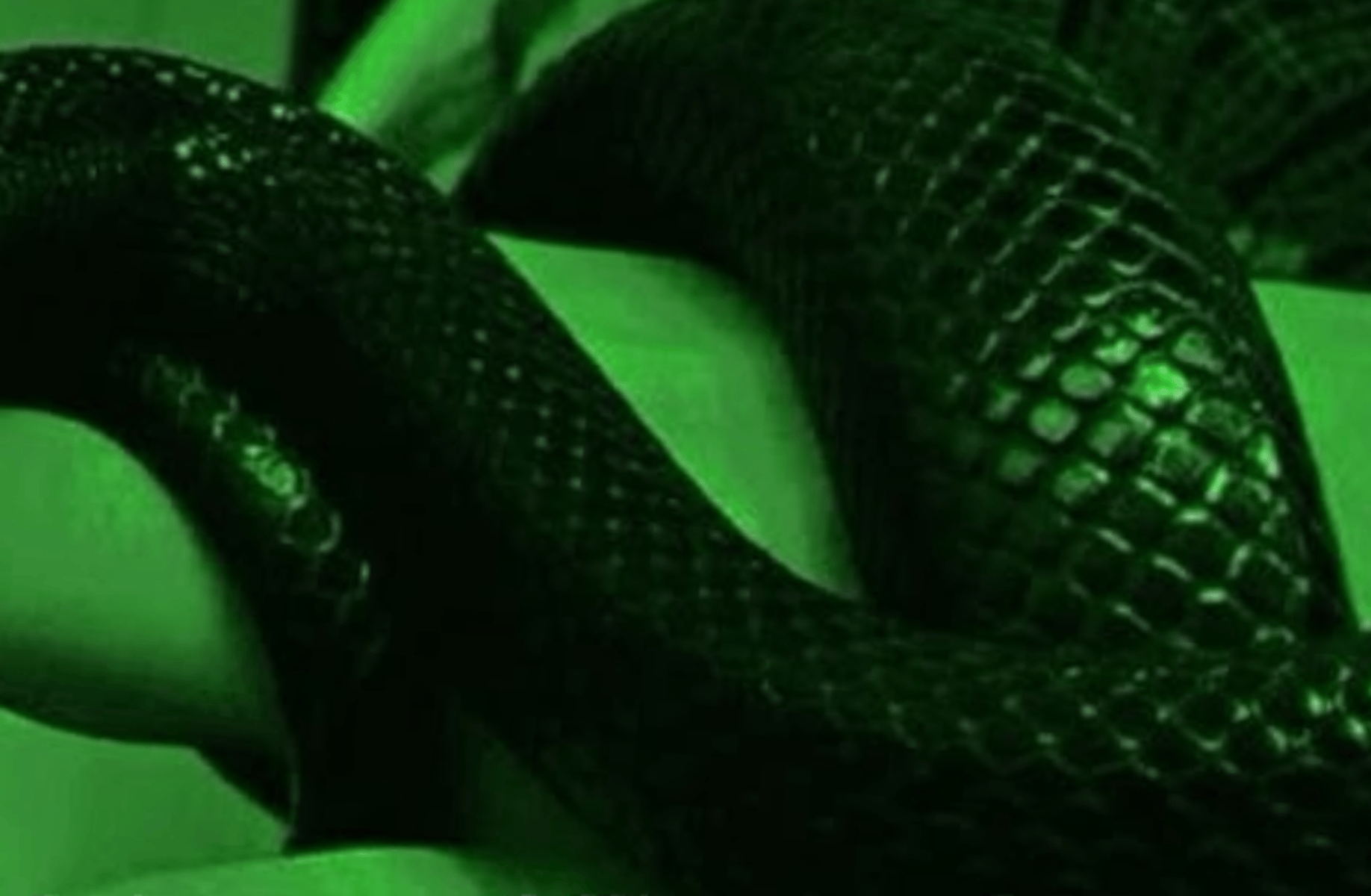 Slytherin boys