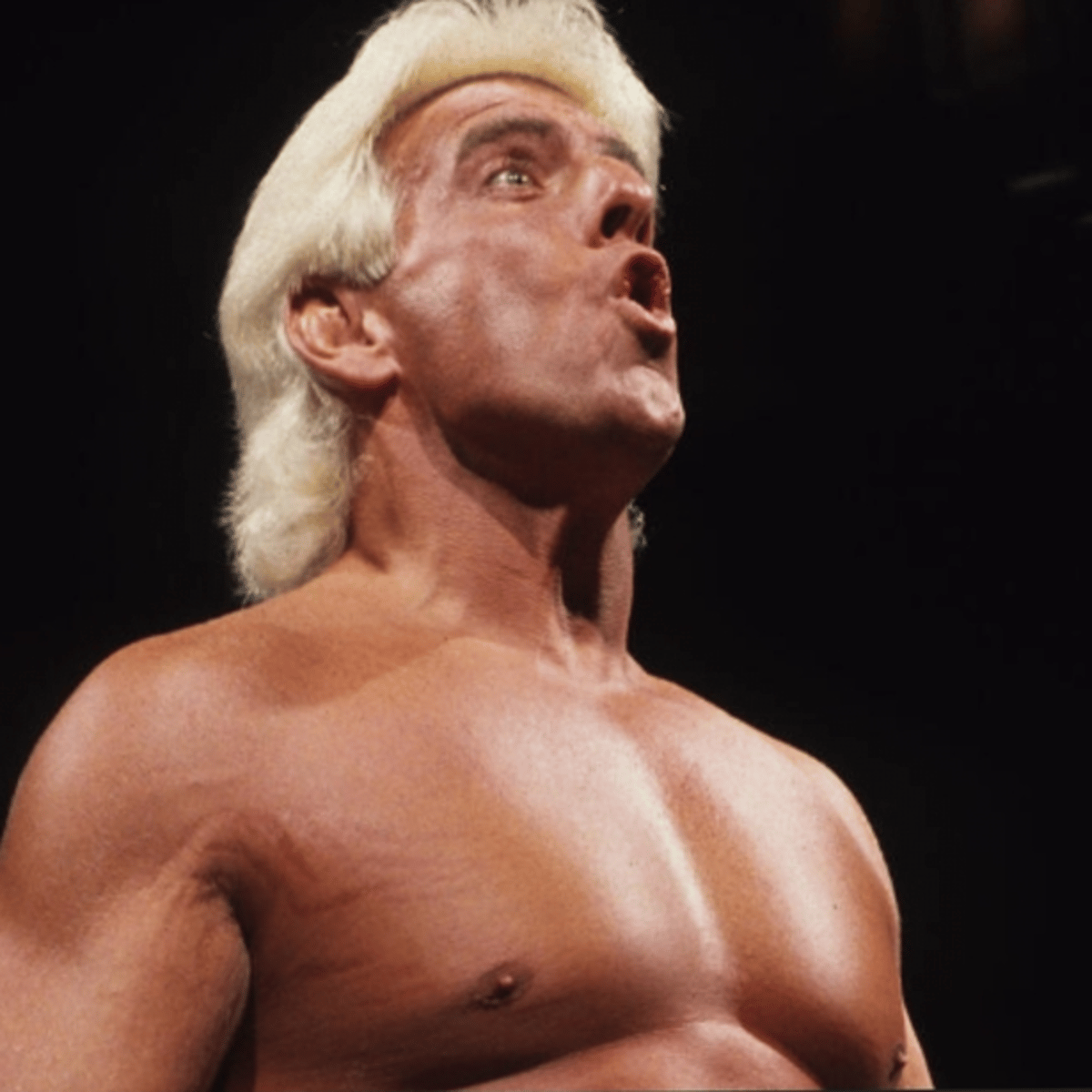 Nature boy wrestler shop