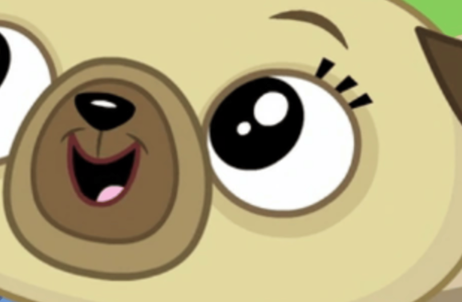 Chip