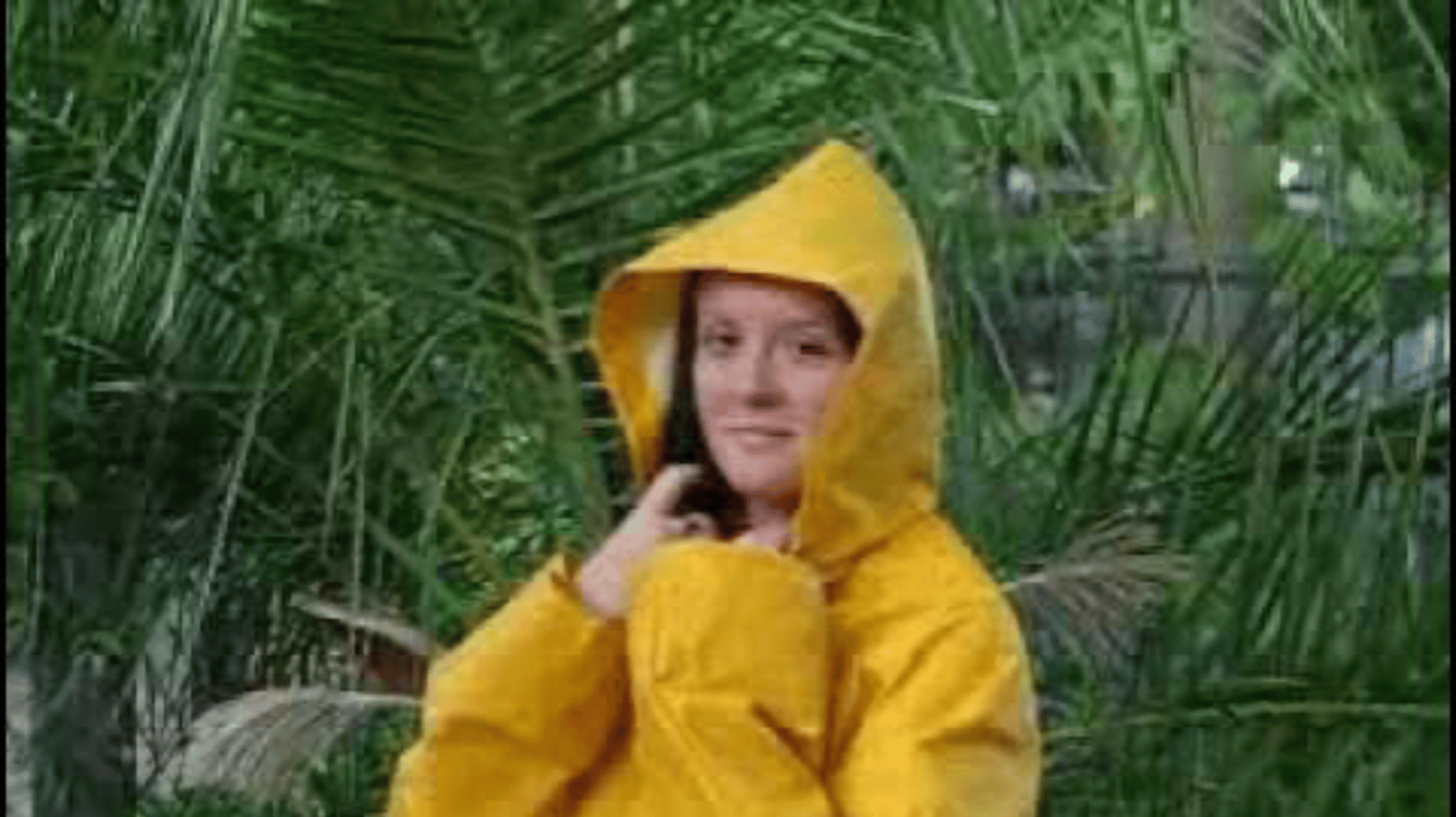 rainweargirl