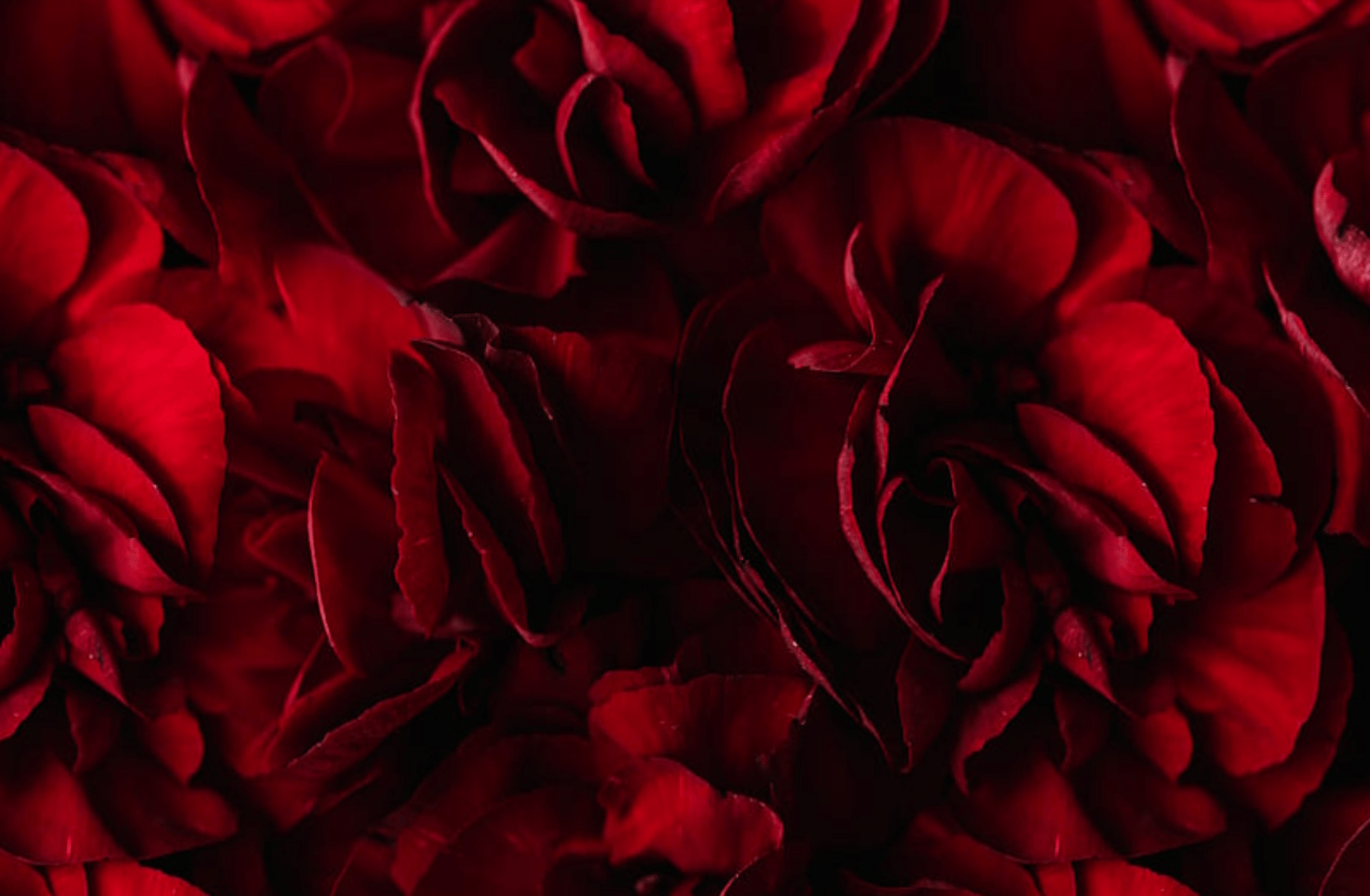 Red (Police)
