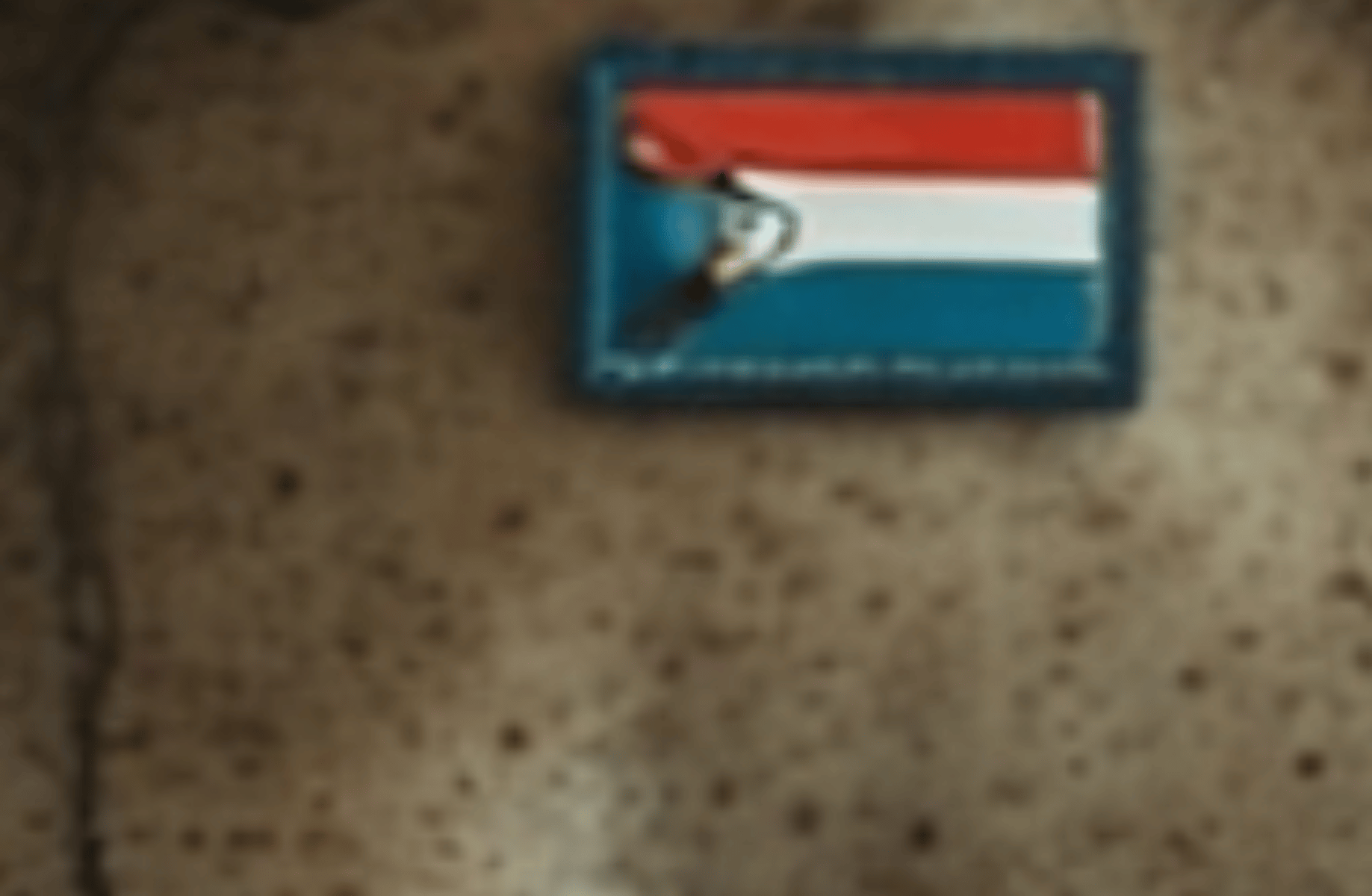 Rein