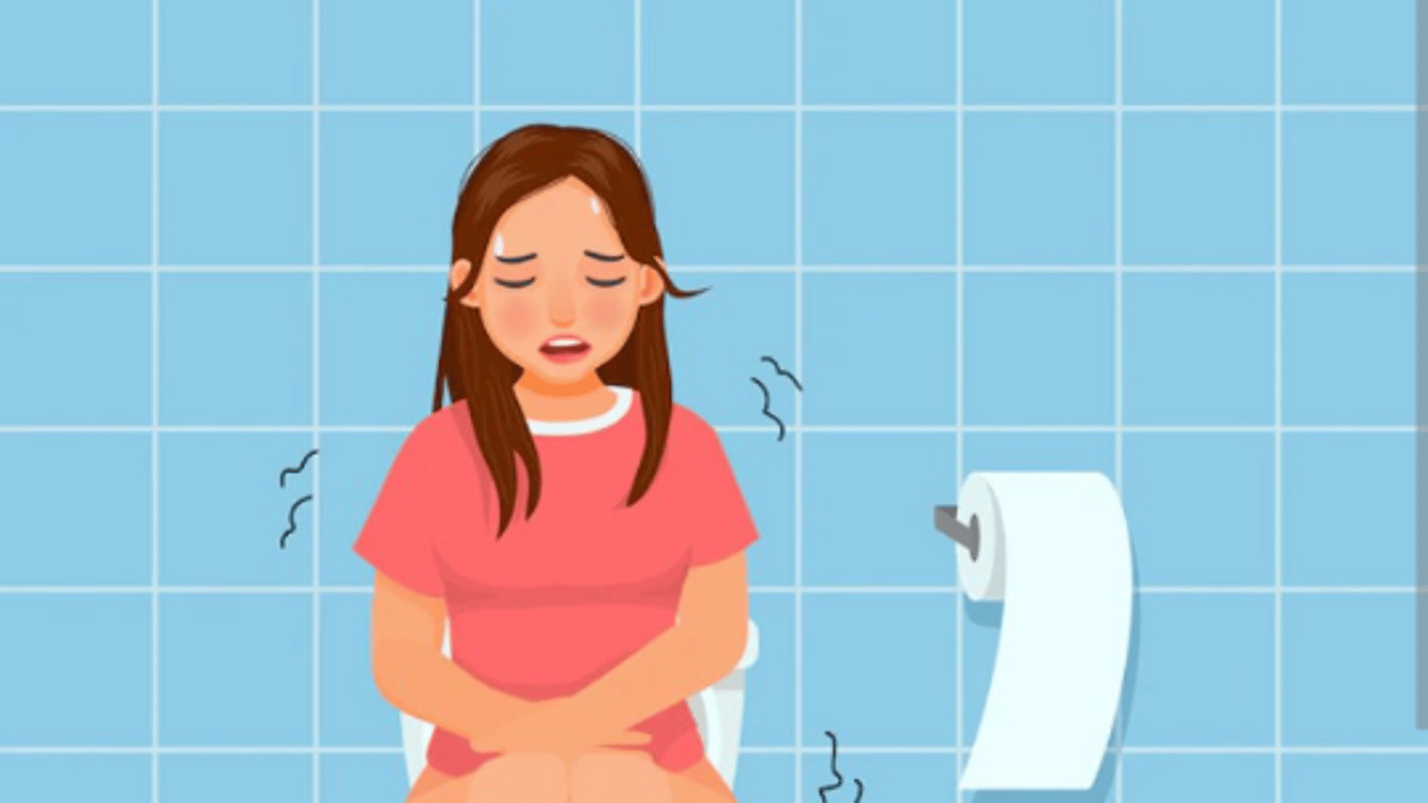 pooping wife simulator