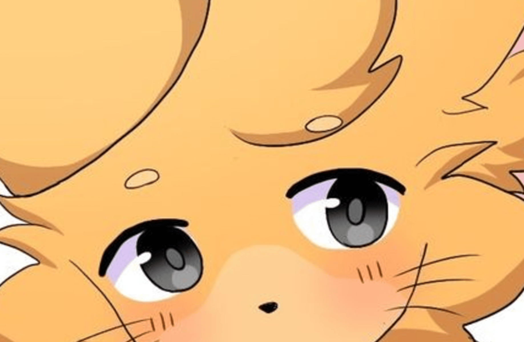 Catte