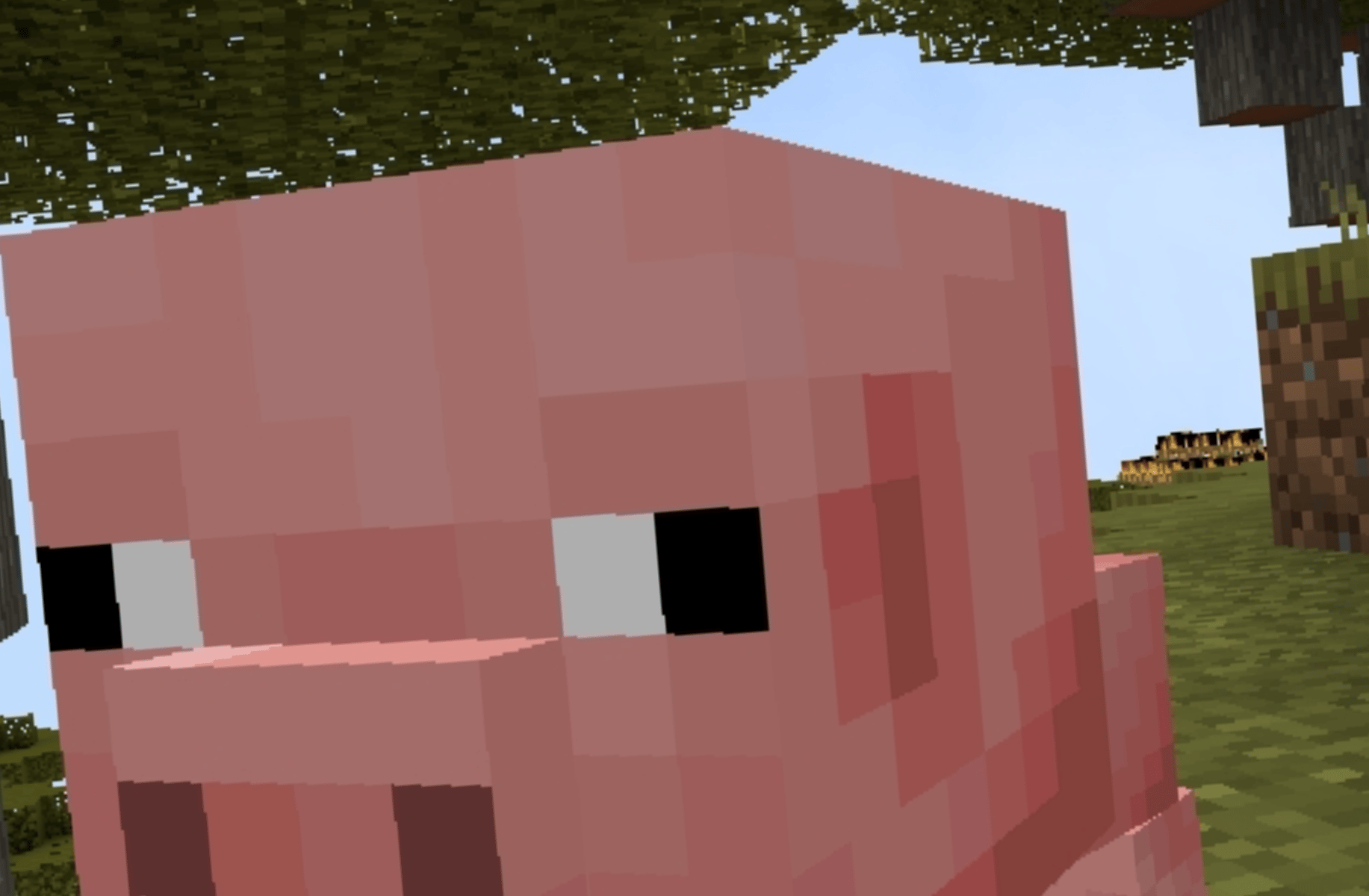 AURELI'SVERSE KAISER