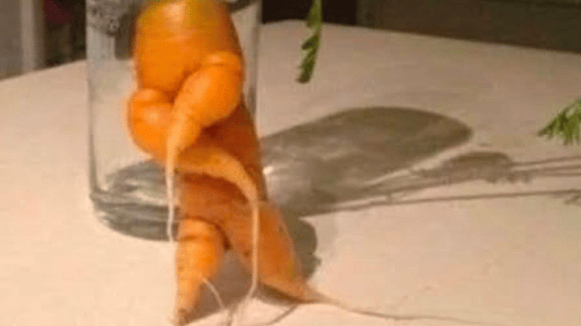 Carrot
