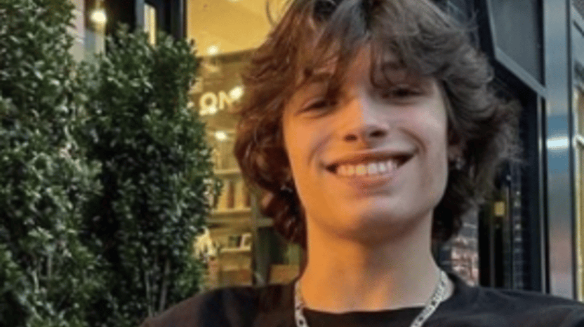 Chris sturniolo