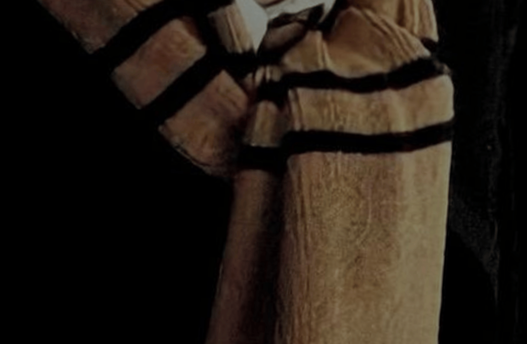 Cedric Diggory