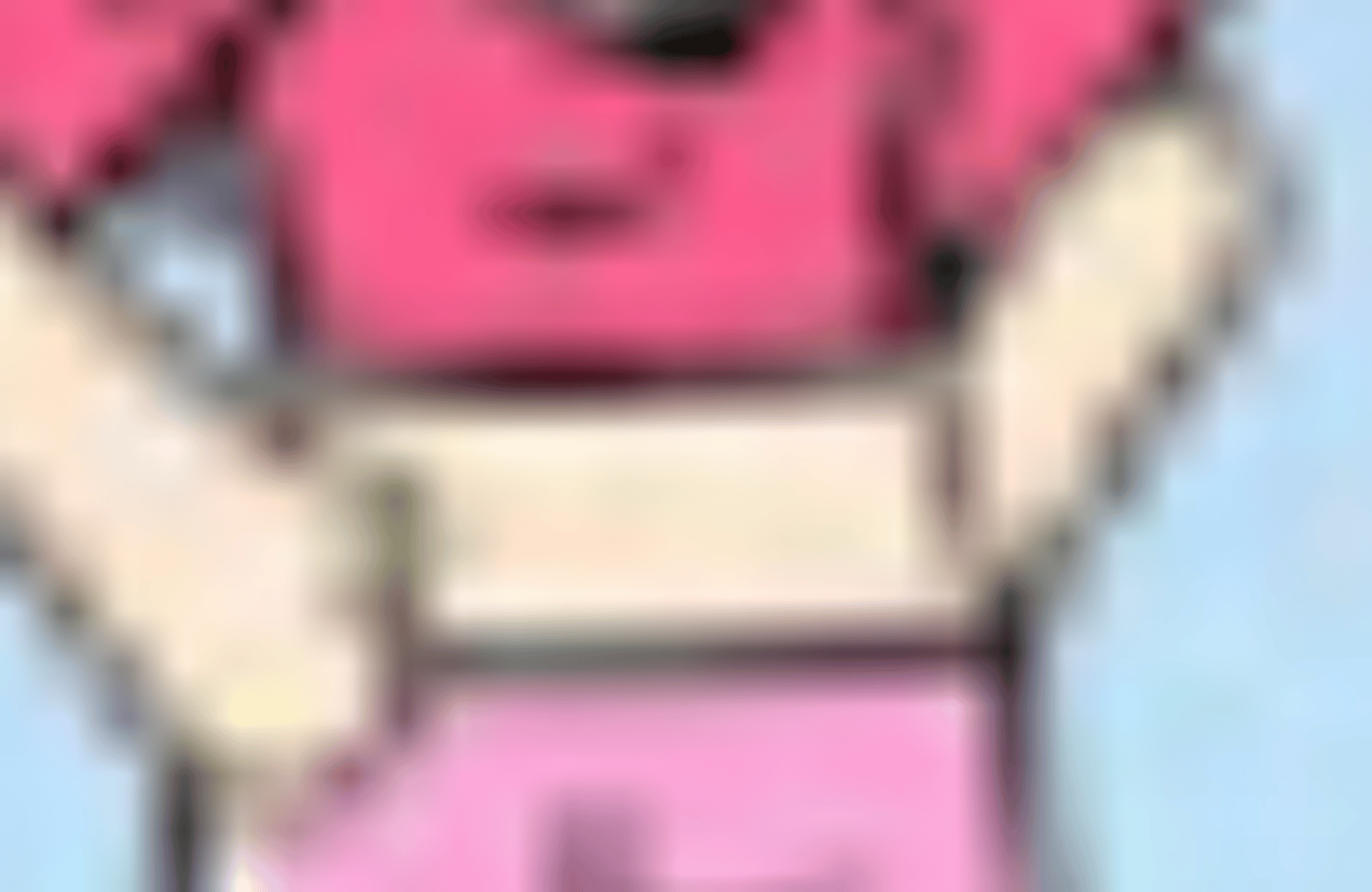 The Powerpuff Girls