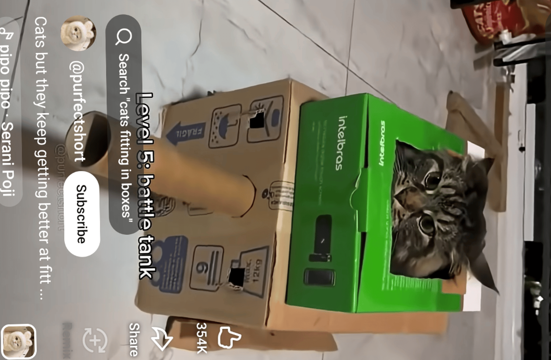 Battle cat