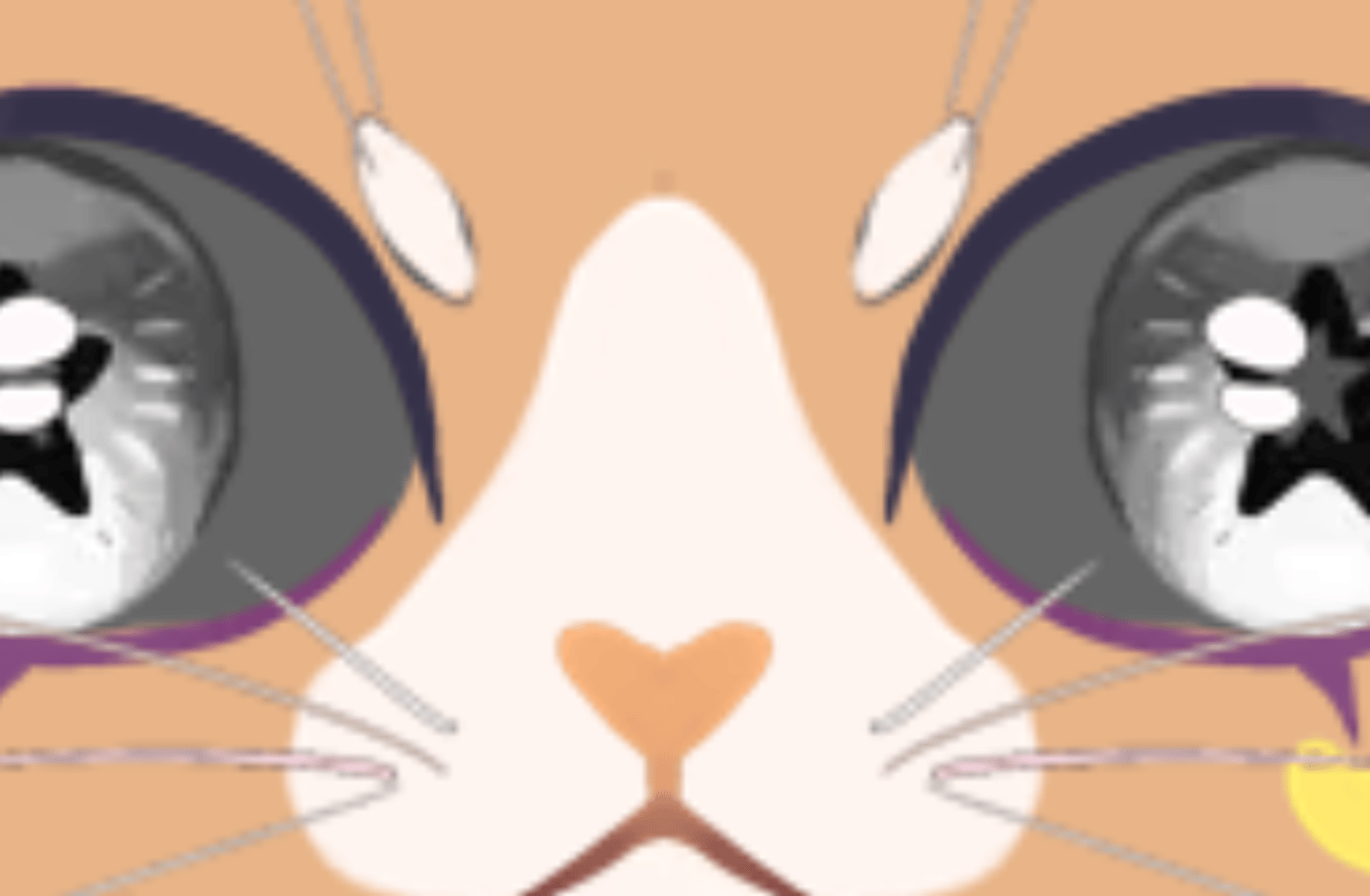 Cheeto The Cat