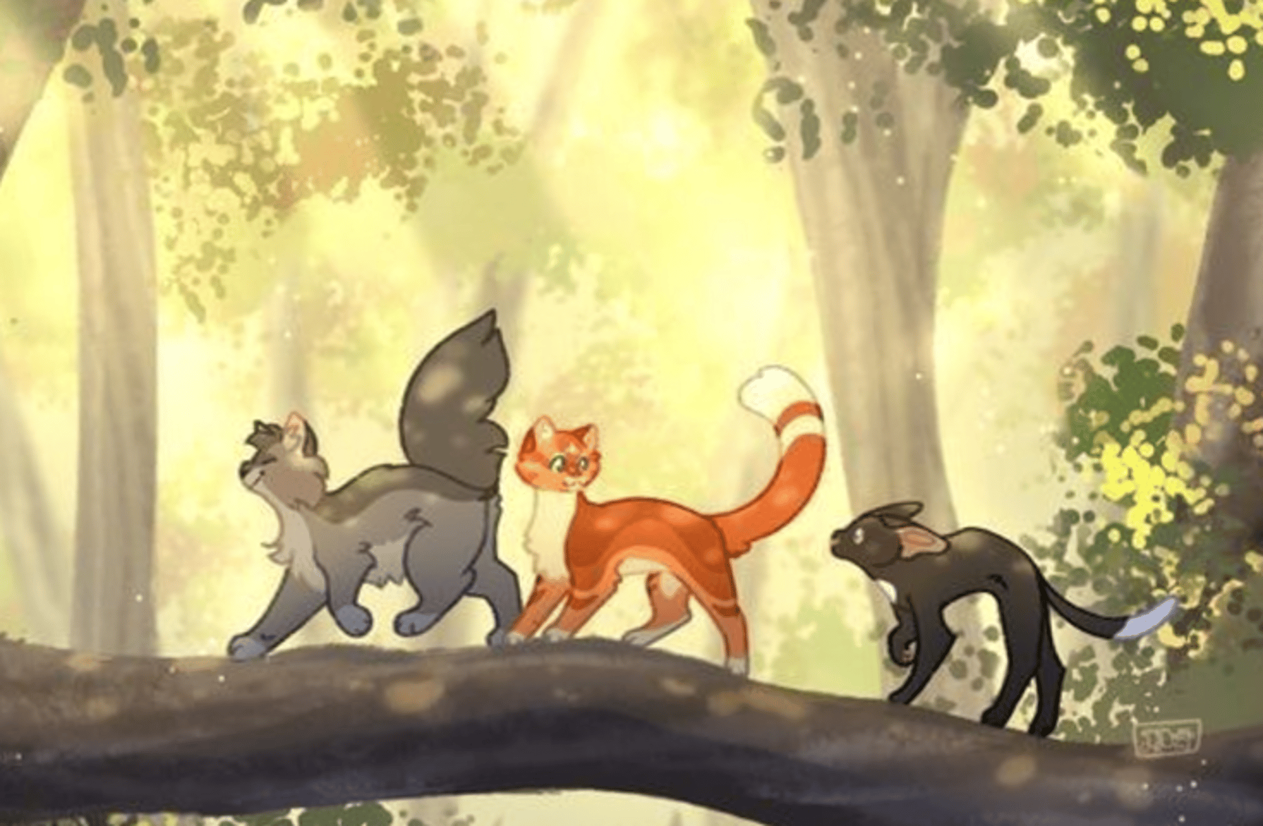 Warrior cats