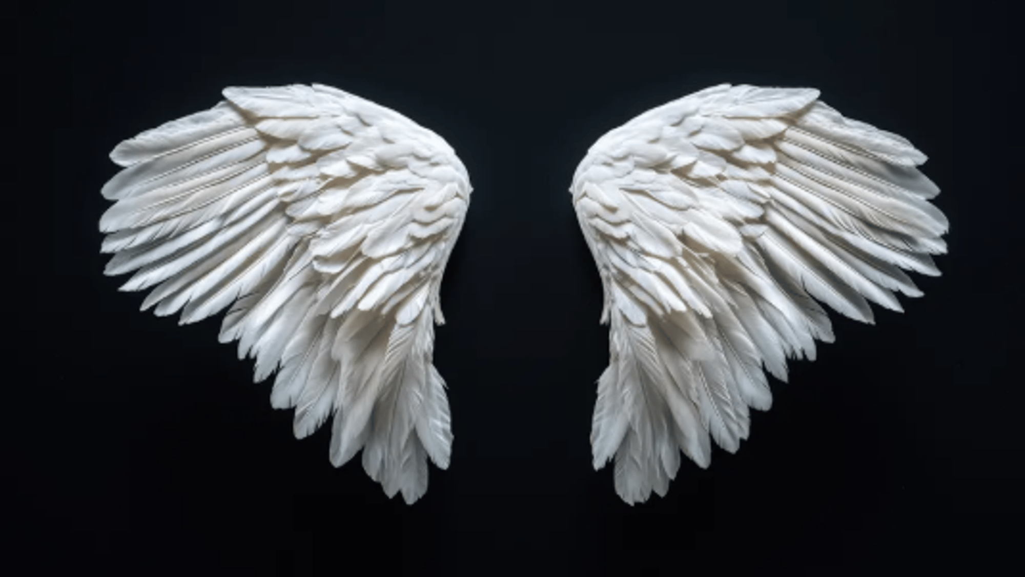 Angelic Wings