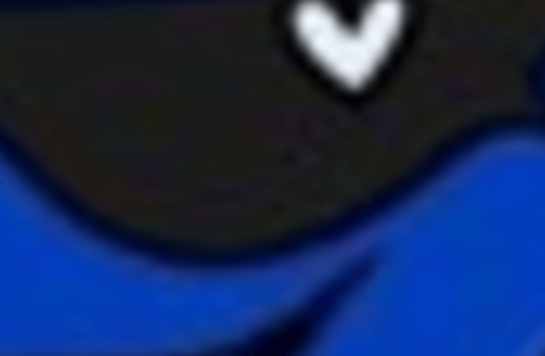 Fanon The Hedgehog