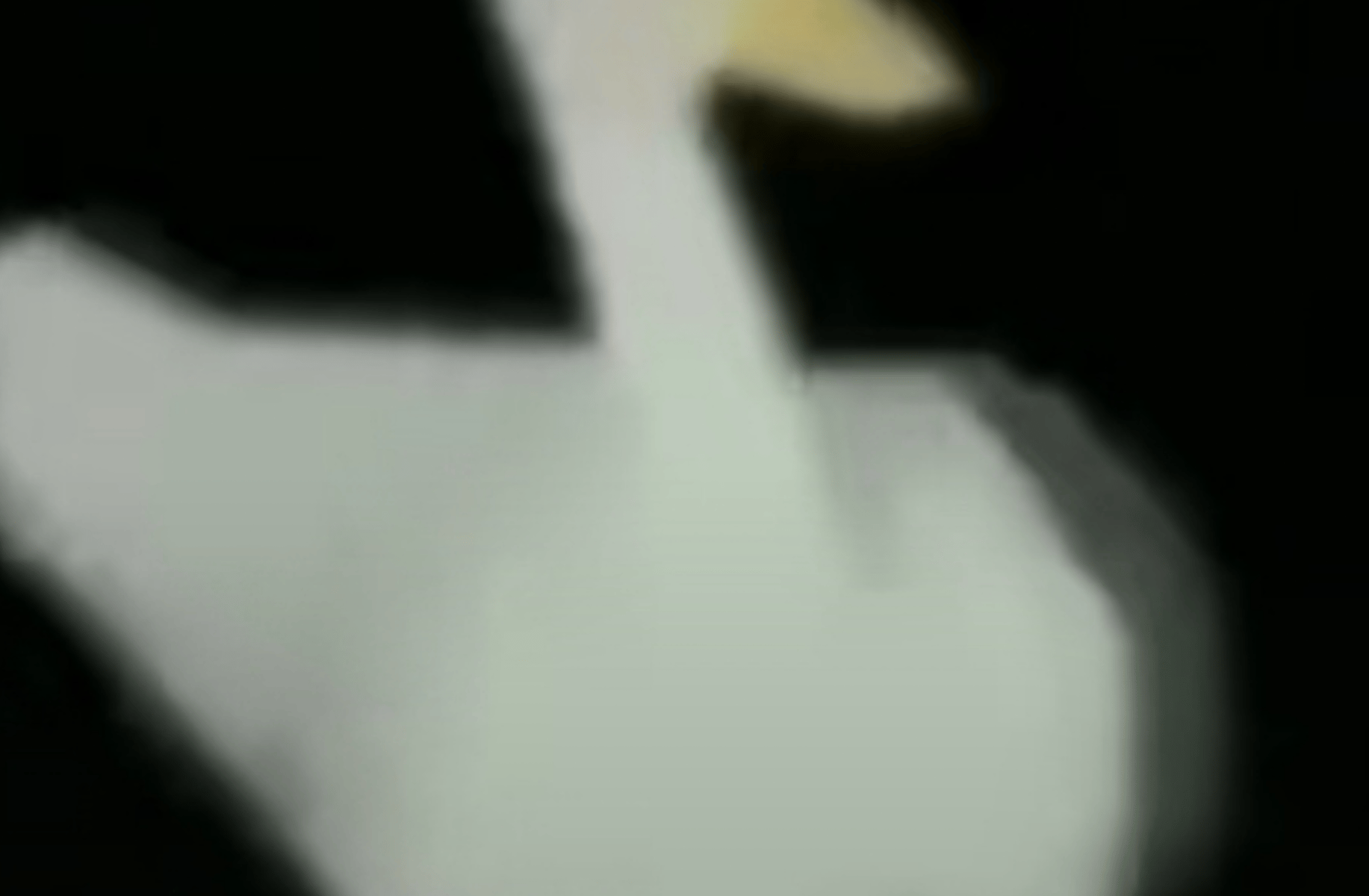 A little duck
