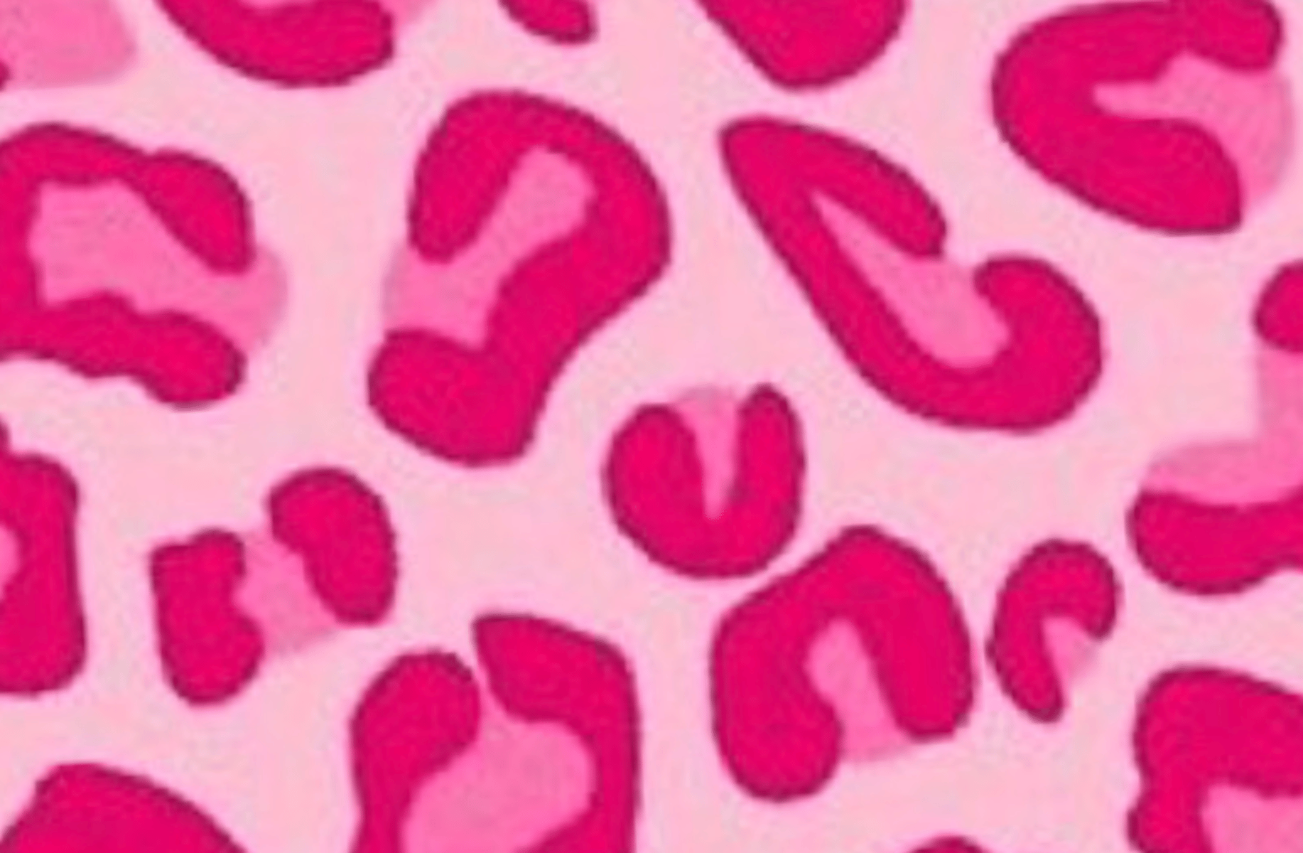 cat valentine